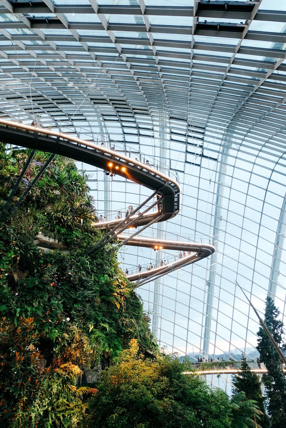 Gardens By The Bay Singapore Picture [HD]. Download Free Image