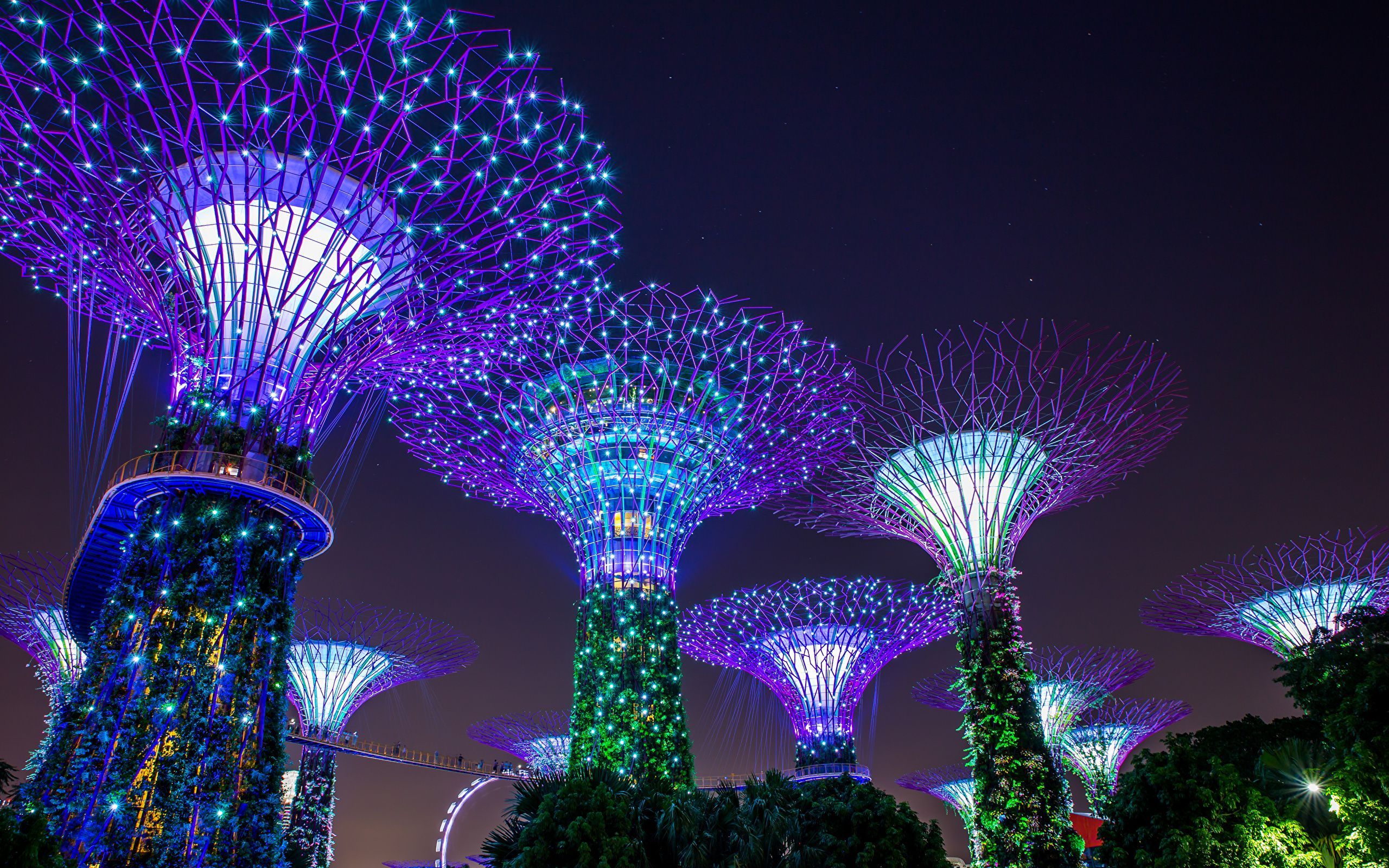 Photo Singapore Gardens by the Bay Nature night time Fairy lights 2560x1600 Night