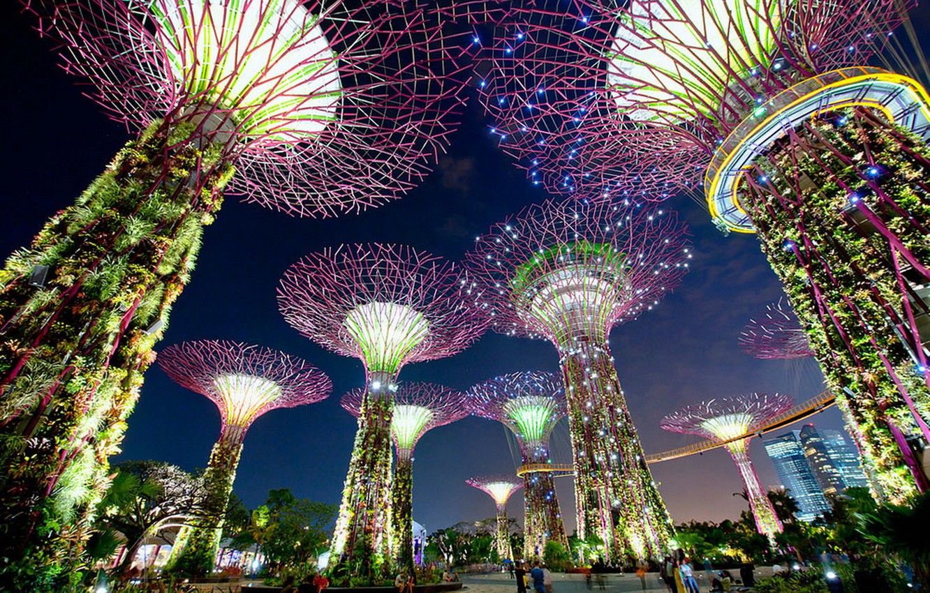 Wallpaper lights, tower, Singapore, Gardens by the Bay, Singapore image for desktop, section город