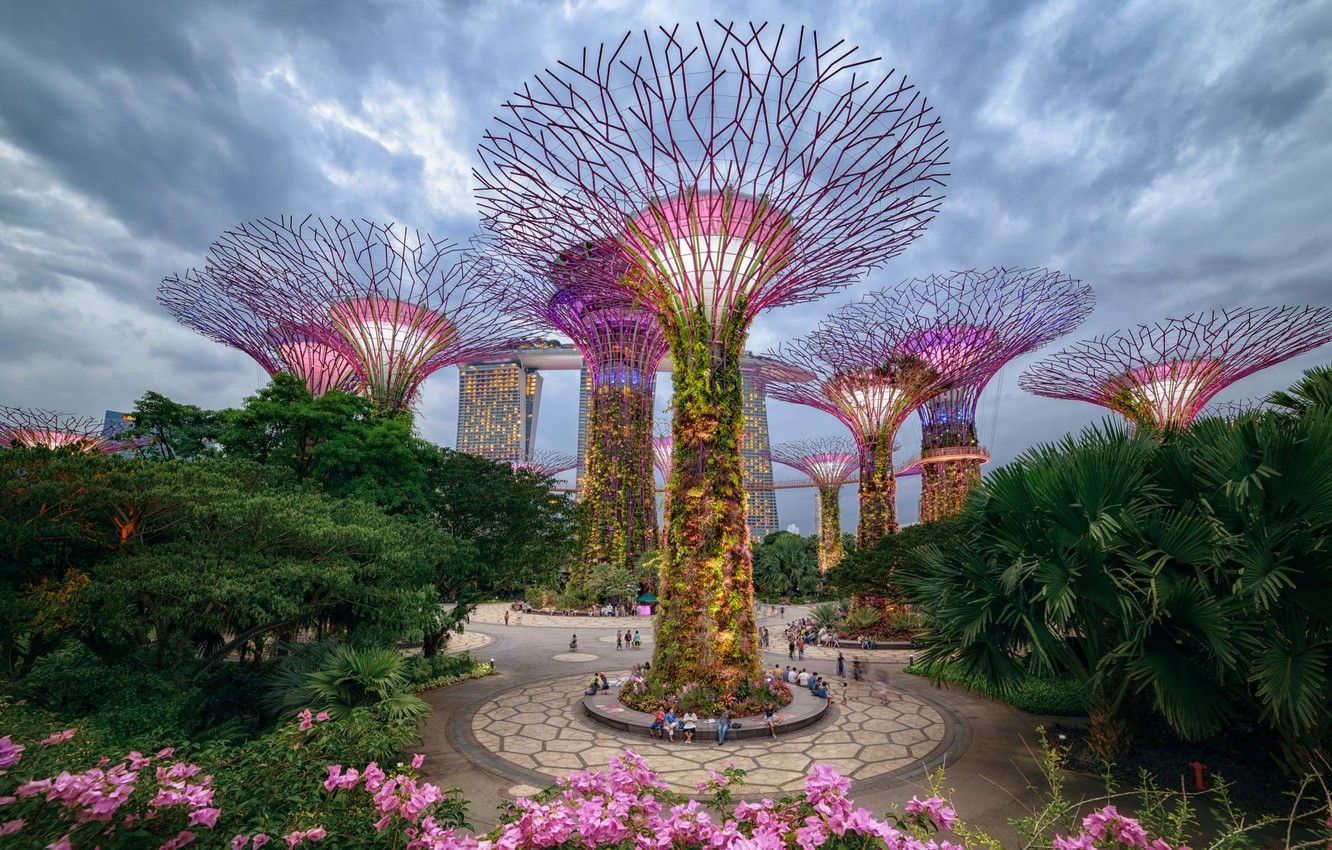Wallpaper trees, the city, Park, Singapore, Gardens by the Bay, Supertree Grove image for desktop, section город