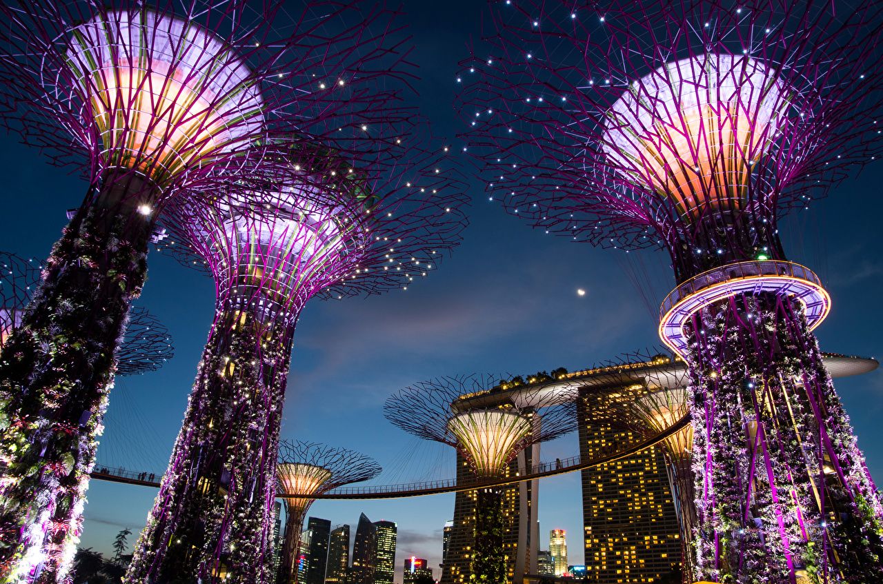 image Singapore Gardens by the Bay Nature night time Street lights