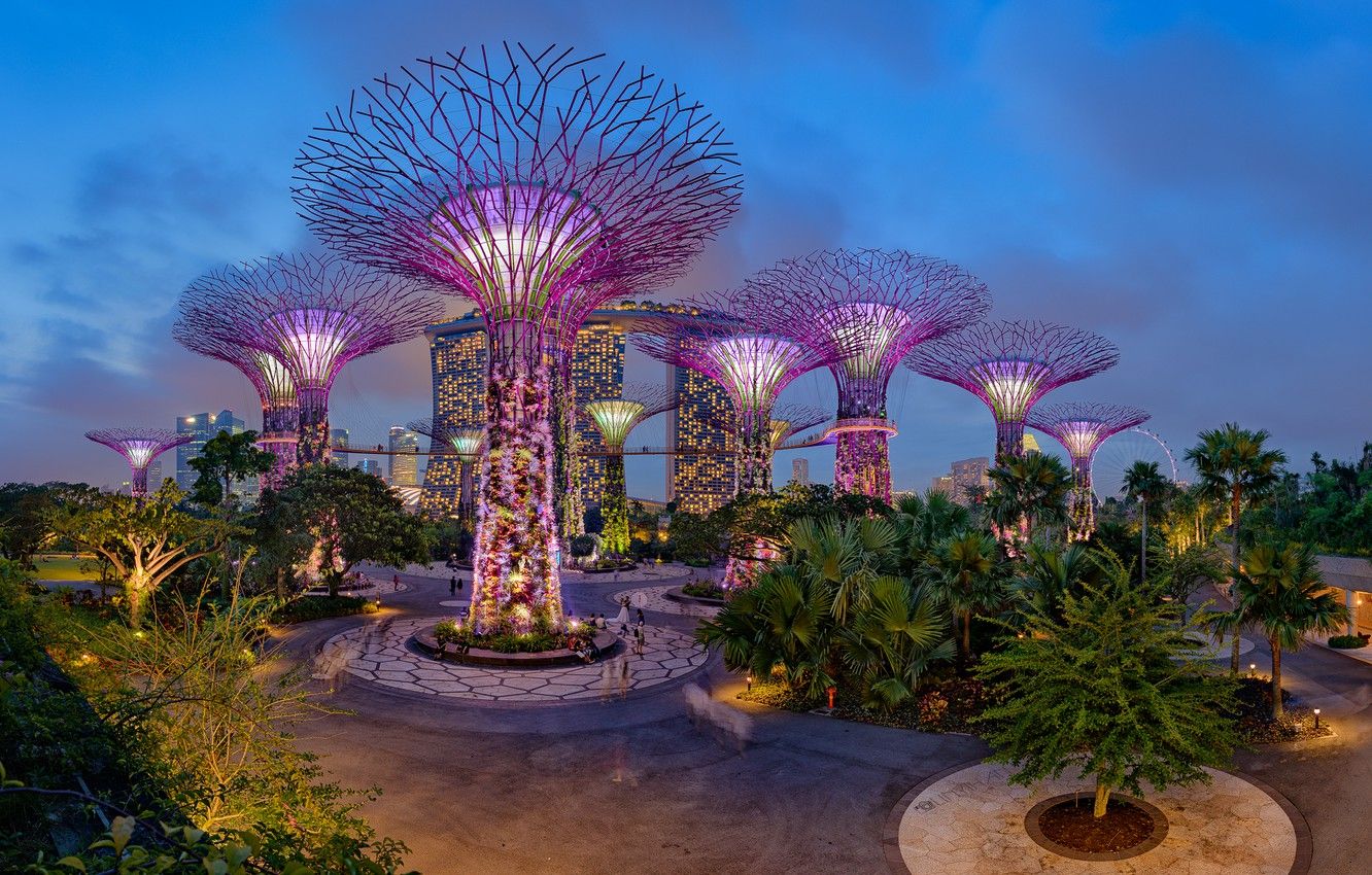 Wallpaper trees, night, design, lights, Park, palm trees, garden, Singapore, Gardens by the Bay image for desktop, section город