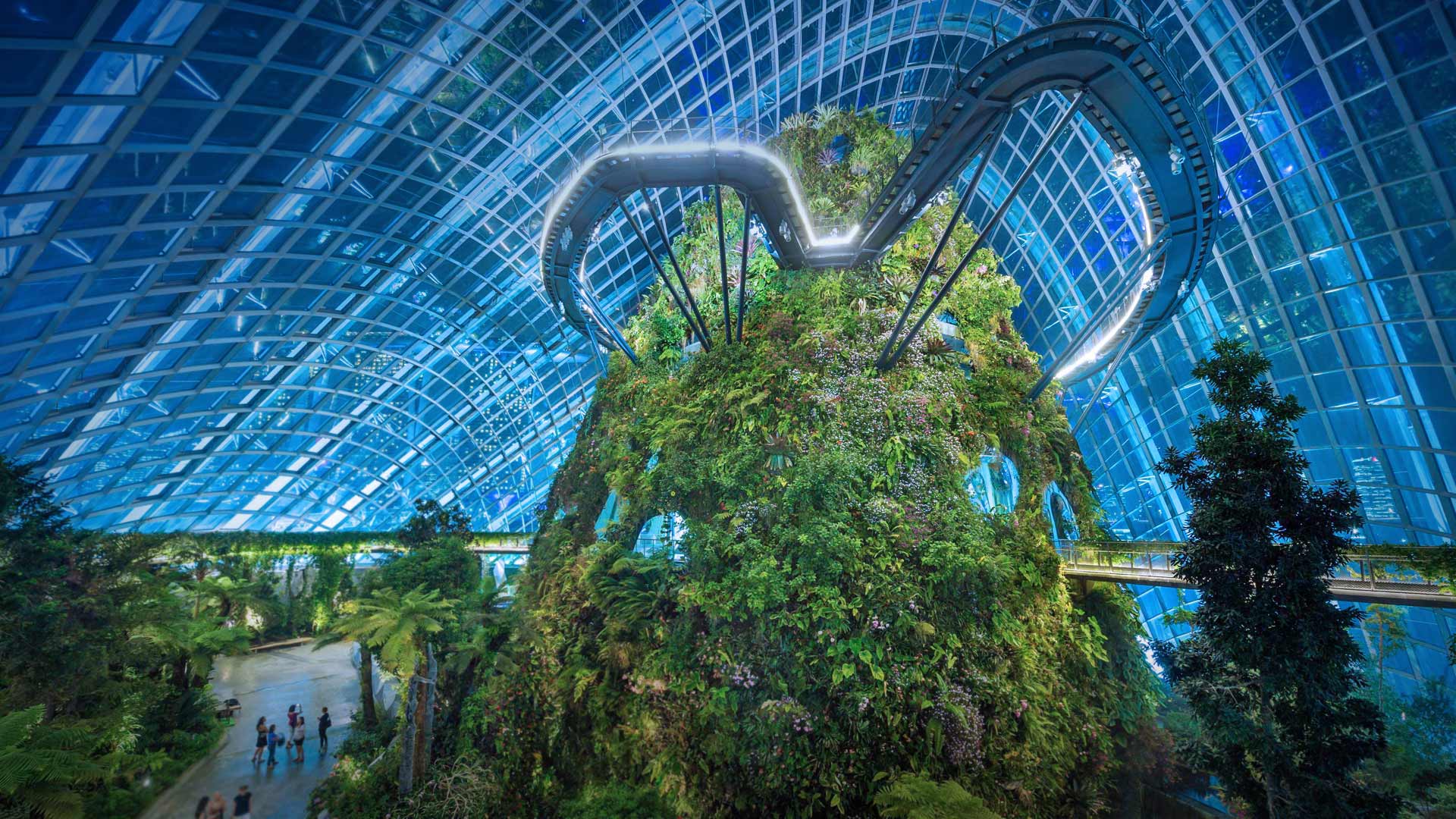 Gardens by the Bay nature park, Singapore Wallpaper Gallery