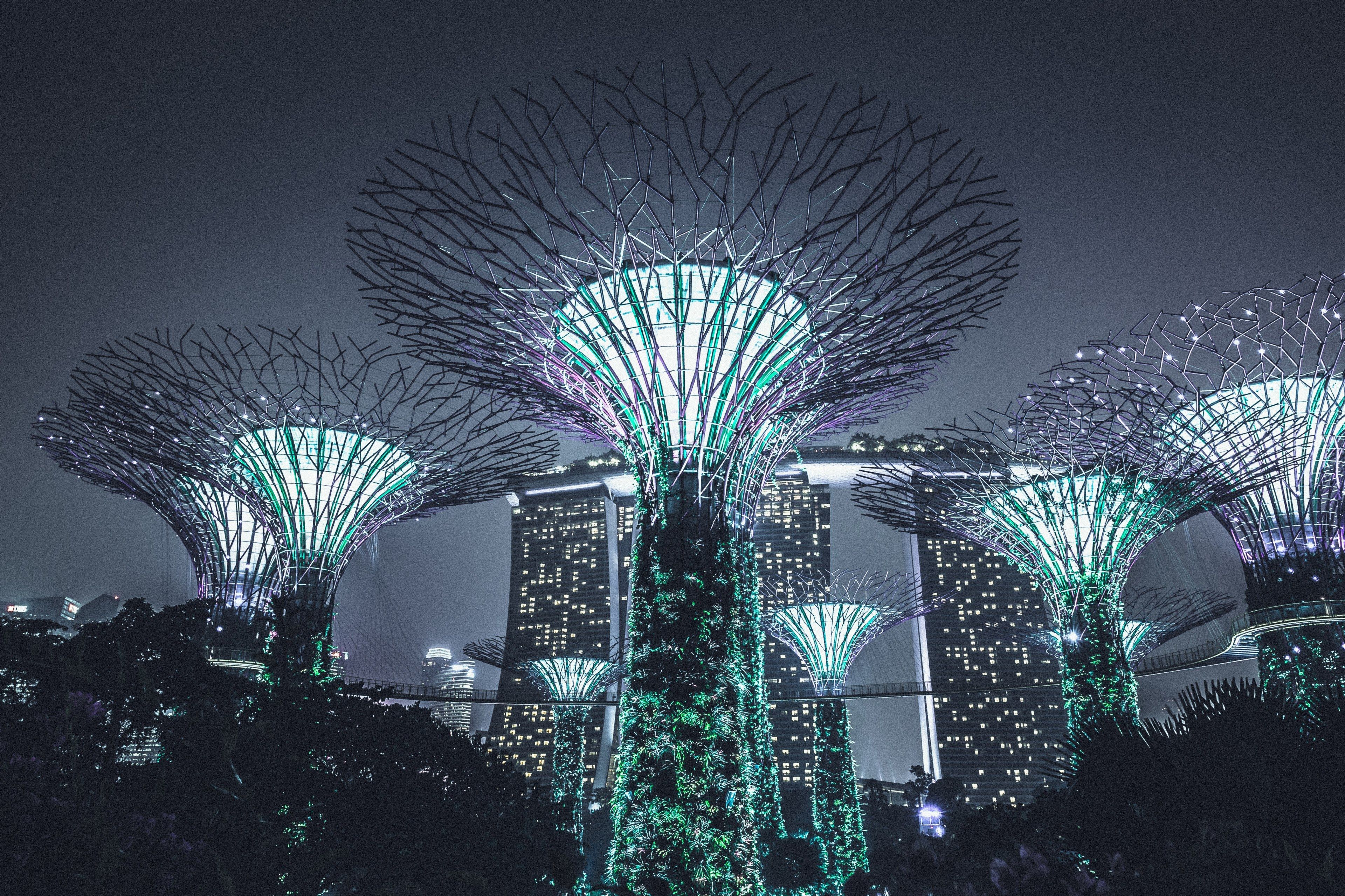 Wallpaper / light architecture gardens by the bay and supertree HD 4k wallpaper