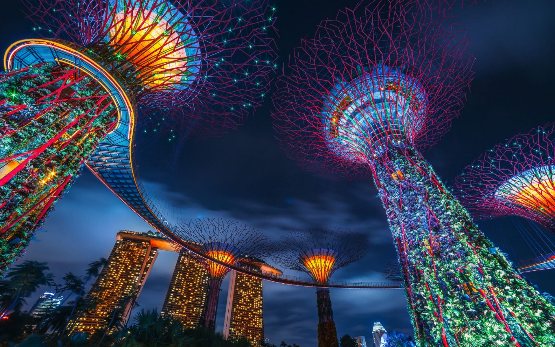 Download wallpaper Singapore, Supertree Grove, Marina Bay Sands, evening, sunset, creative trees, Gardens by the Bay, Marina Gardens for desktop with resolution 1920x1200. High Quality HD picture wallpaper