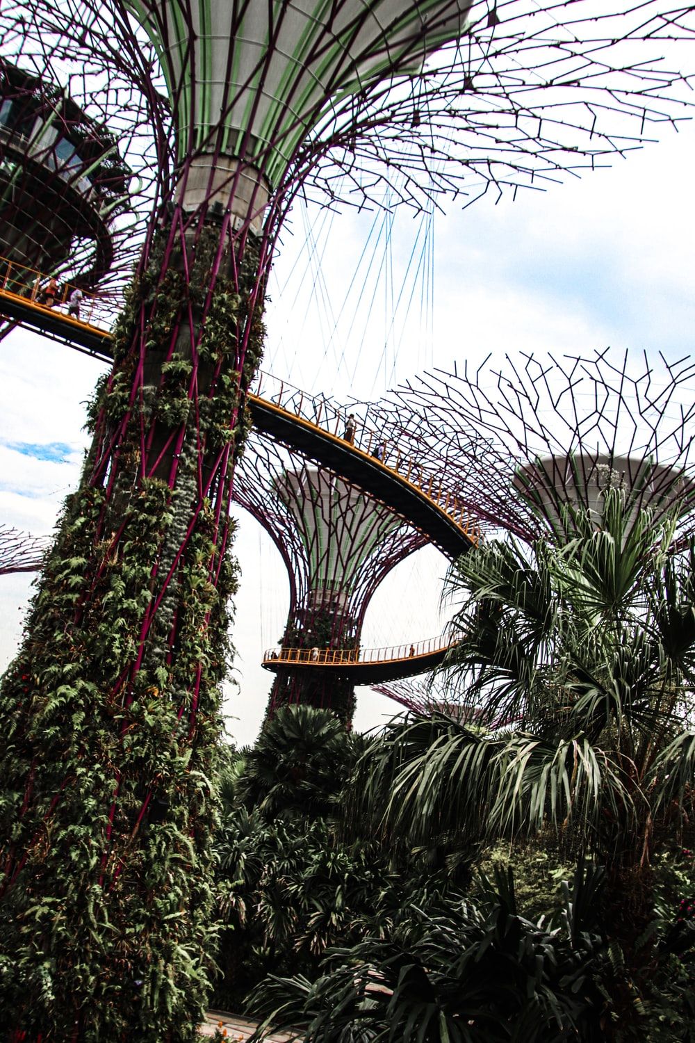 Gardens By The Bay Singapore Picture [HD]. Download Free Image