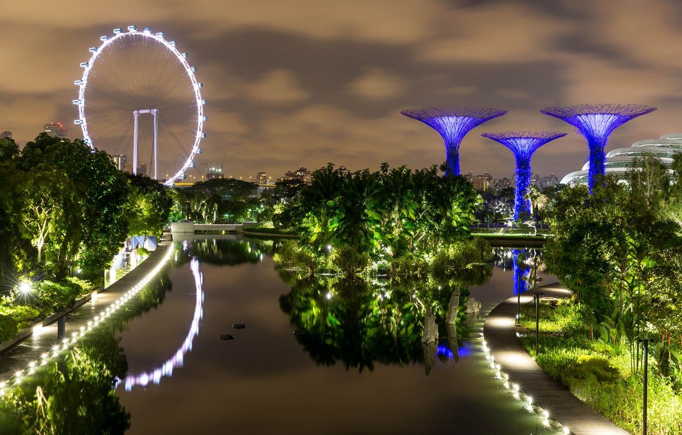 Wallpaper pond, photo, Singapore, Singapore, Gardens by the Bay image for desktop, section город
