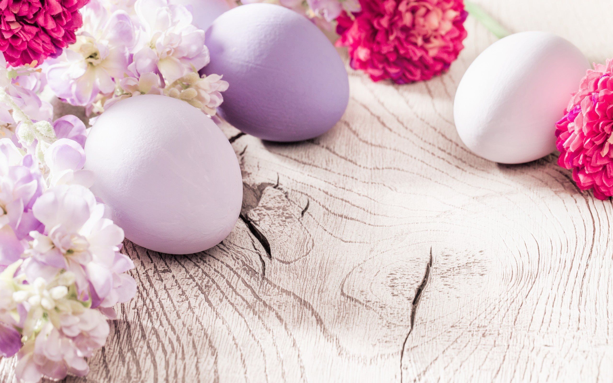 Download wallpaper easter background, easter decorations, easter, purple krashanki for desktop with resolution 2560x1600. High Quality HD picture wallpaper