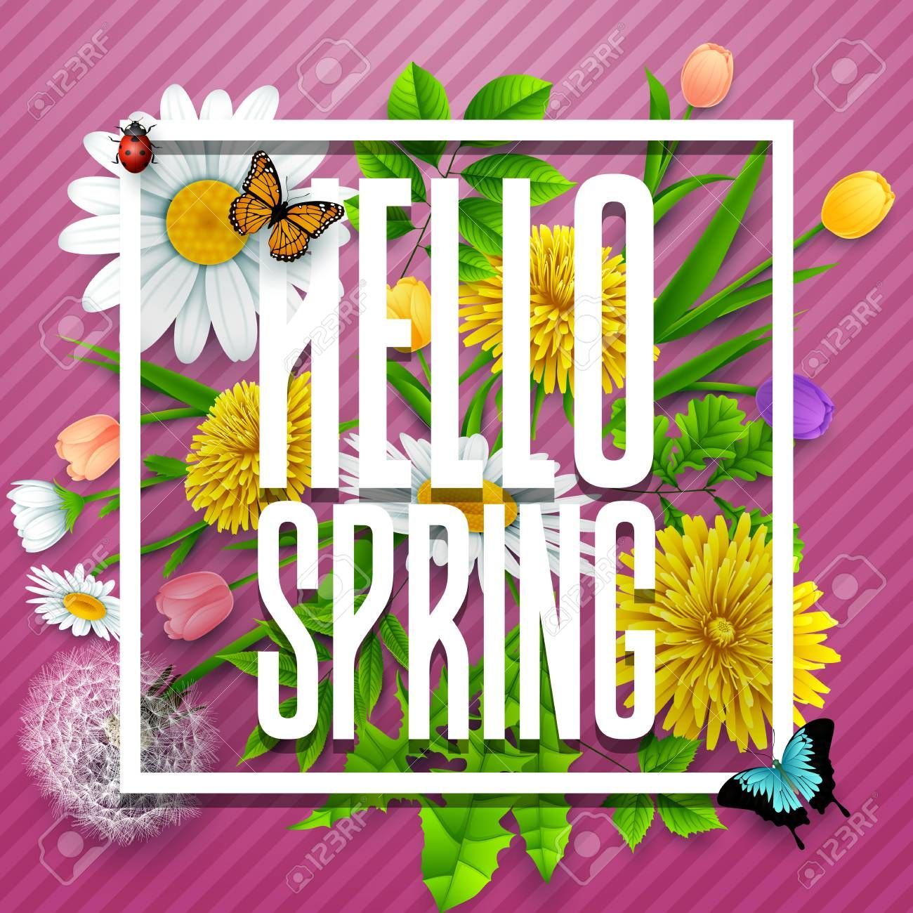 Hello Spring background with flower and insects on striped purple background, #Ad, #flower, #background, #Sp. Spring background, Purple background, Hello spring