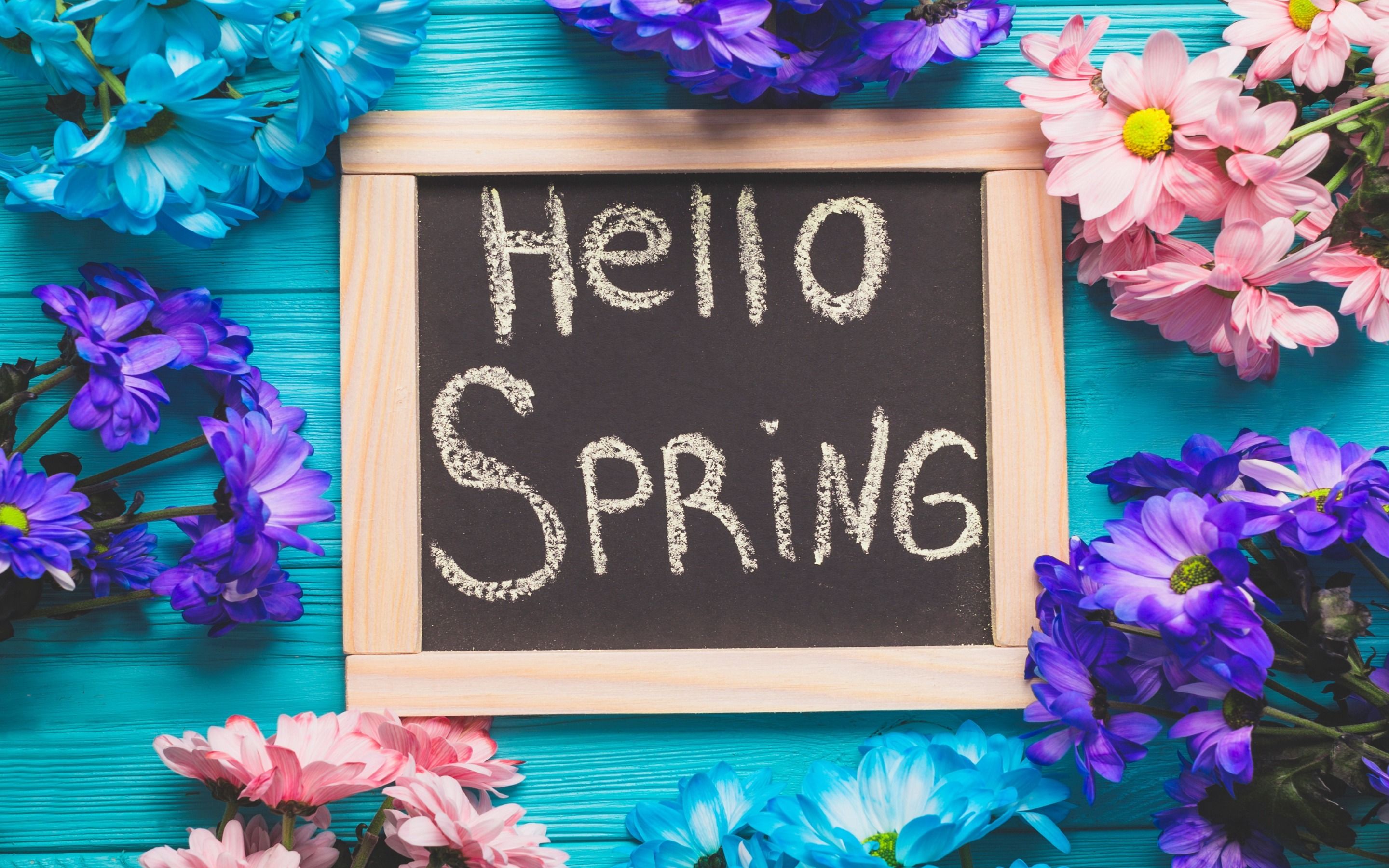 Download wallpaper Hello spring, spring flowers, season, spring concepts, blue wood background for desktop with resolution 2880x1800. High Quality HD picture wallpaper