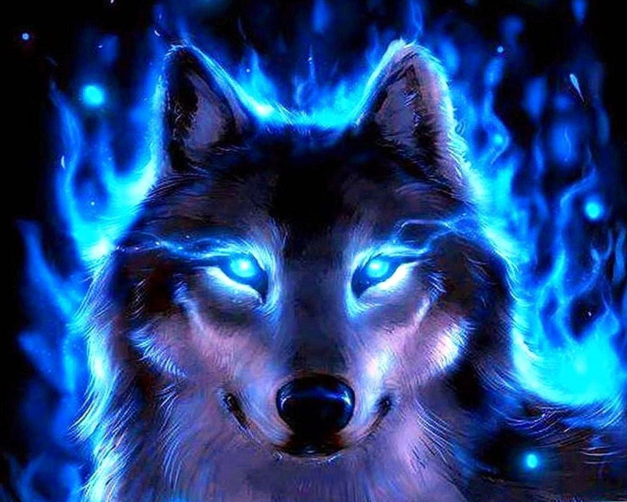 Cool Blue Wolf Wallpaper Free Cool Blue Wolf Background