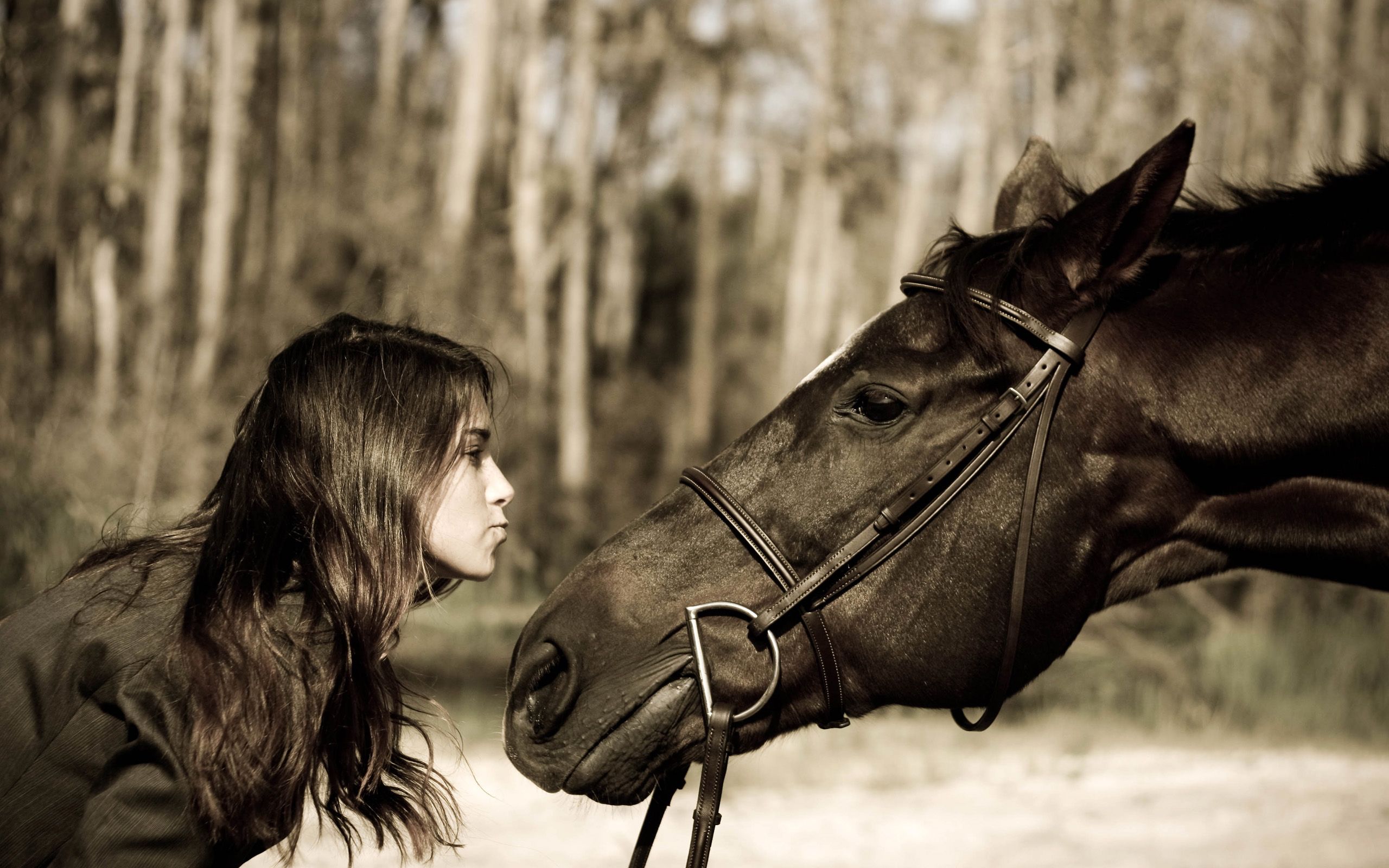 Girl kissing horse