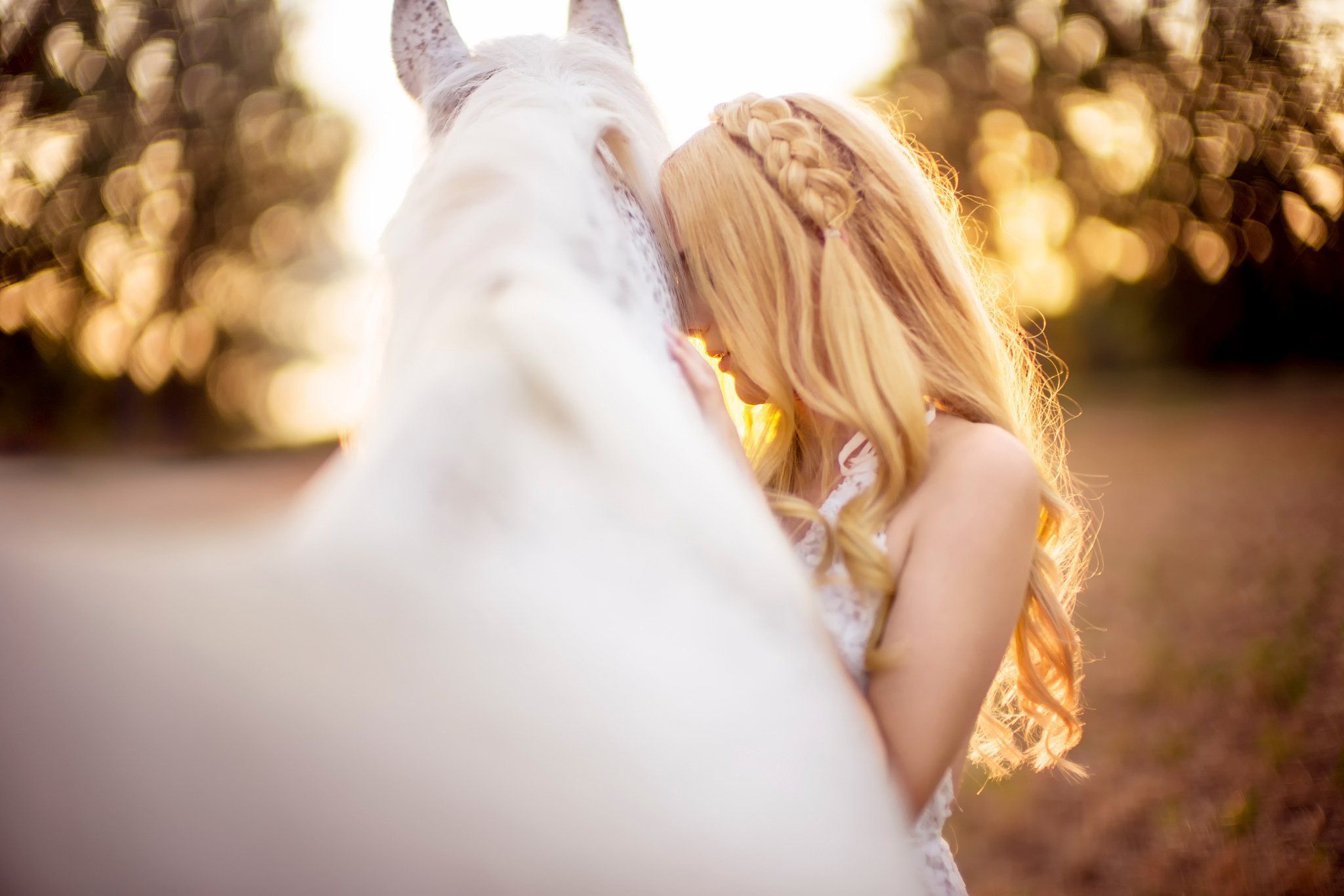 Girl And White Horse Wallpaper. hdqwalls.com. White horse photography, Horse portrait, White horse