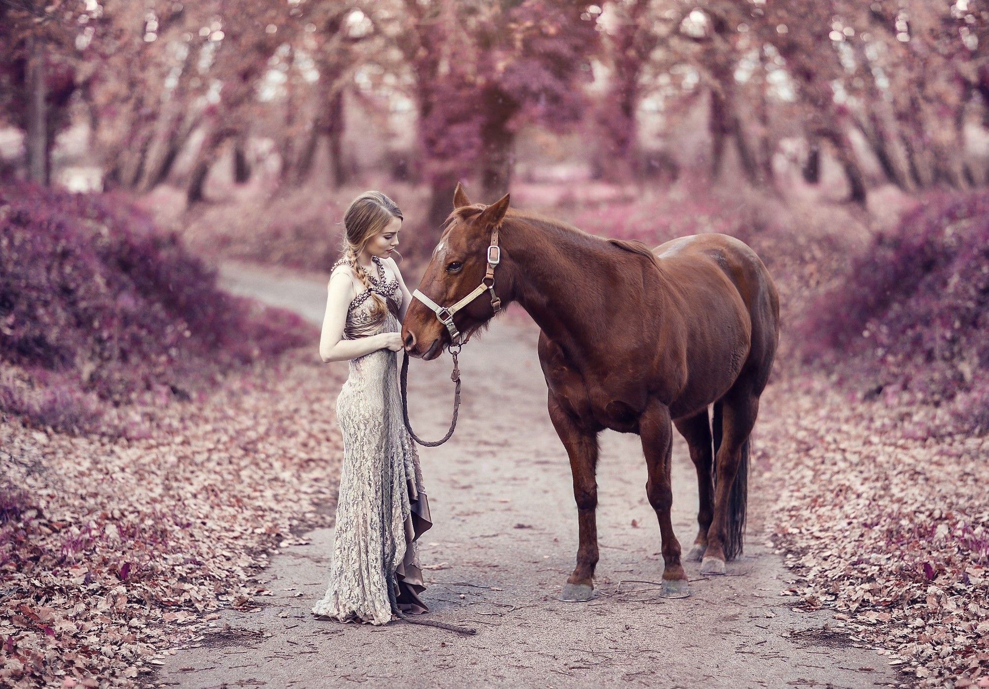 Girl With Horse, HD Girls, 4k Wallpaper, Image, Background, Photo and Picture