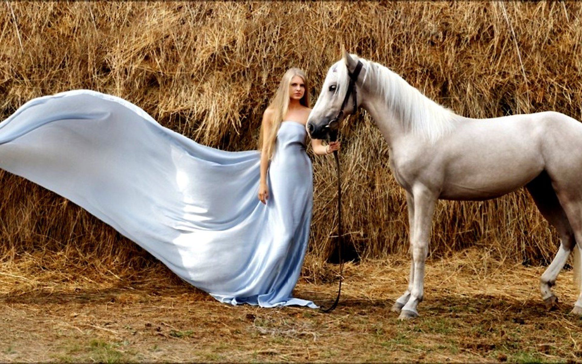 Horse wallpaper and girl Wallpaper Wallpaper 95839