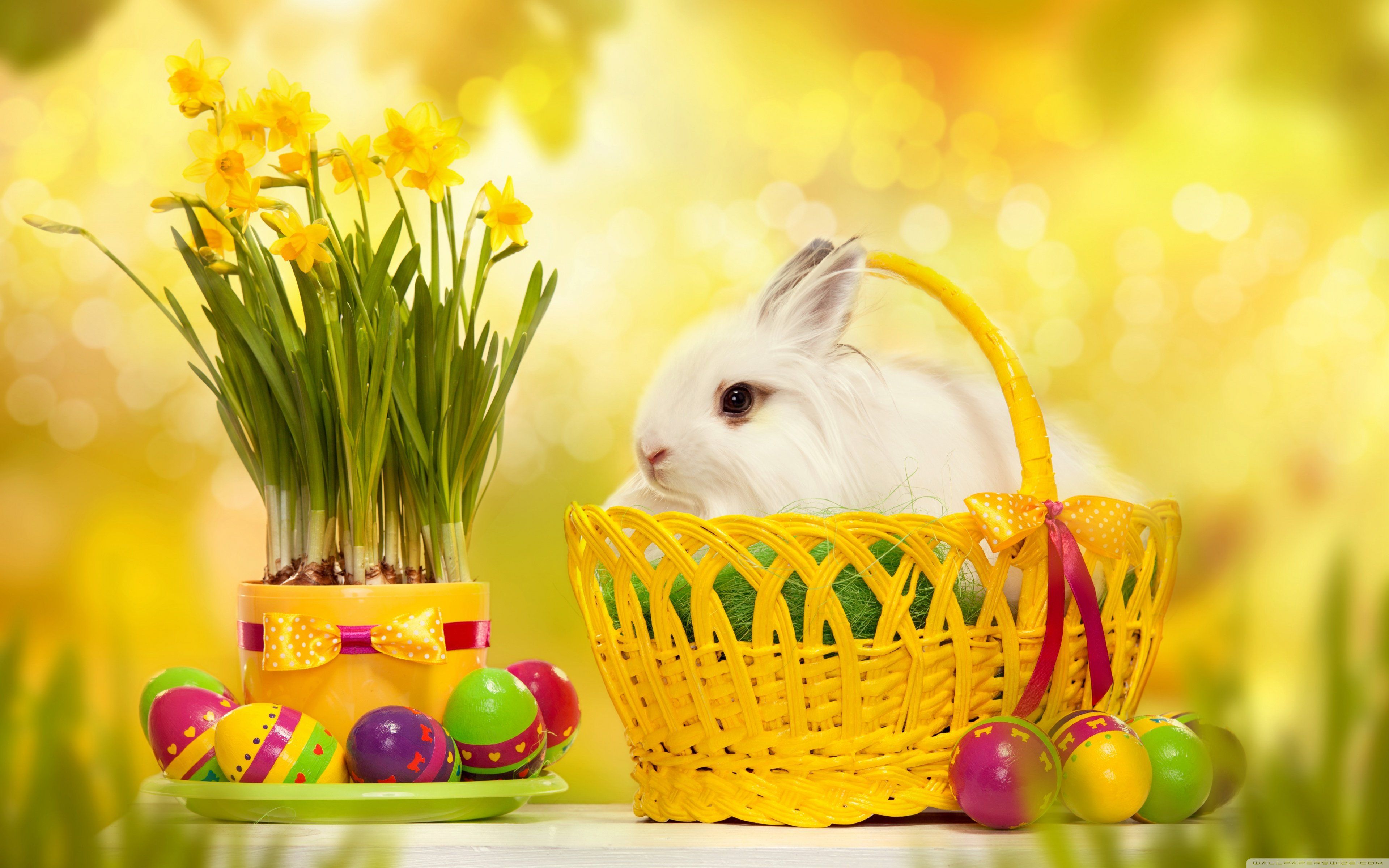 Free download Happy Easter Bunny 4K HD Desktop Wallpaper for 4K Ultra HD TV [3840x2400] for your Desktop, Mobile & Tablet. Explore Wallpaper Happy Easter. Easter Wallpaper For Desktop