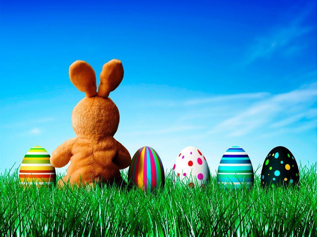 Easter Bunny Wallpaper HD For Desktop And iPhone. Easter wallpaper, Happy easter day, Easter wishes