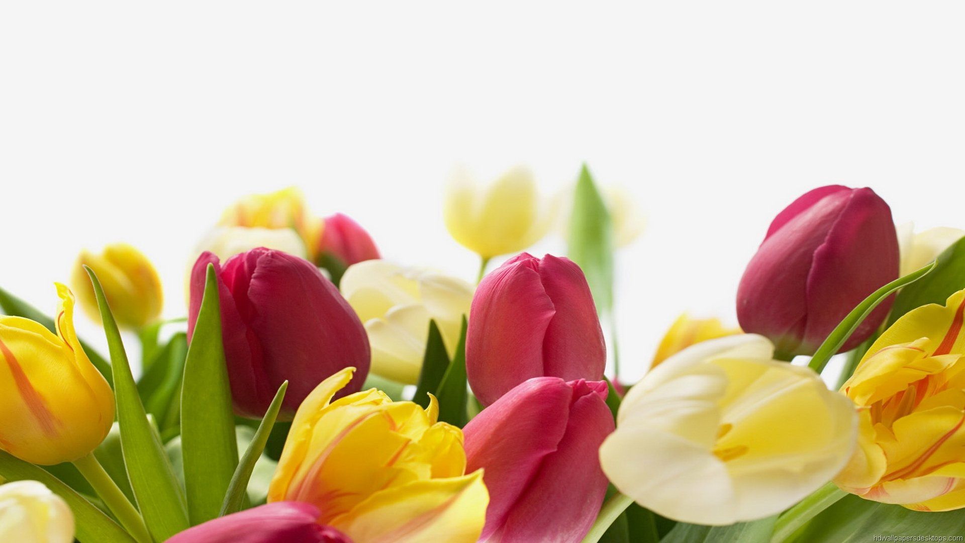 Easter Flowers Wallpapers - Wallpaper Cave