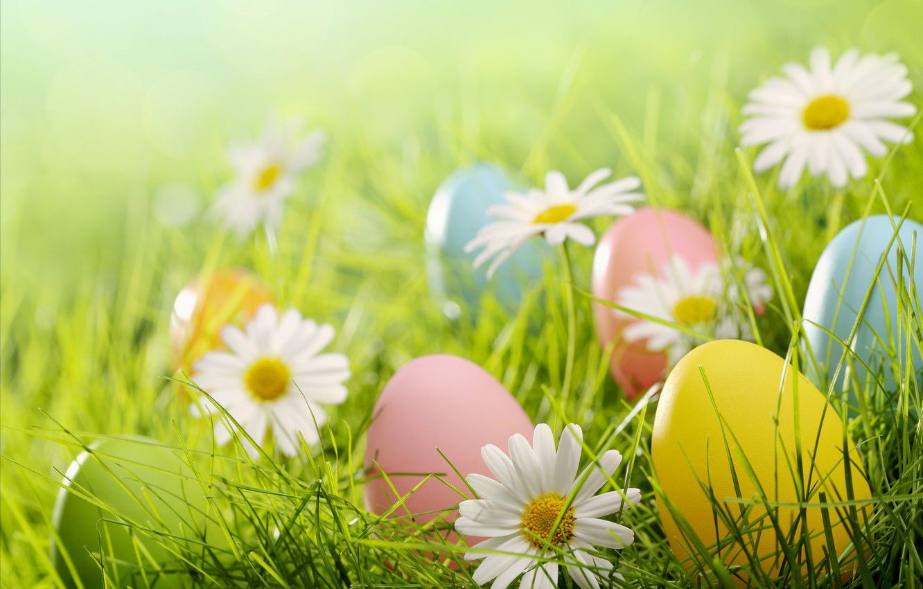 Easter Floral Wallpapers - Wallpaper Cave