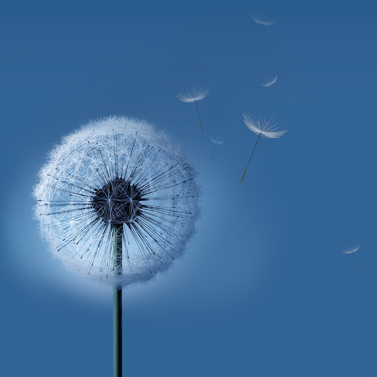 Samsung Note 8 Wallpaper