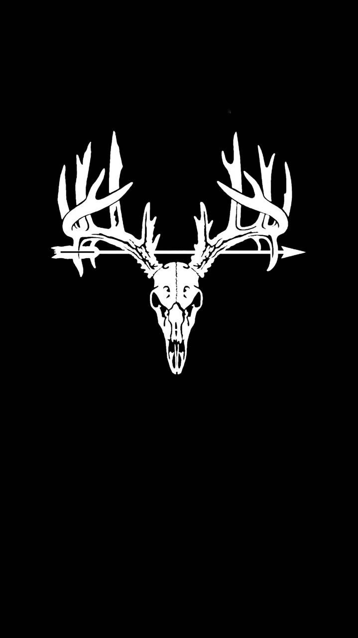 Deer skull wallpaper