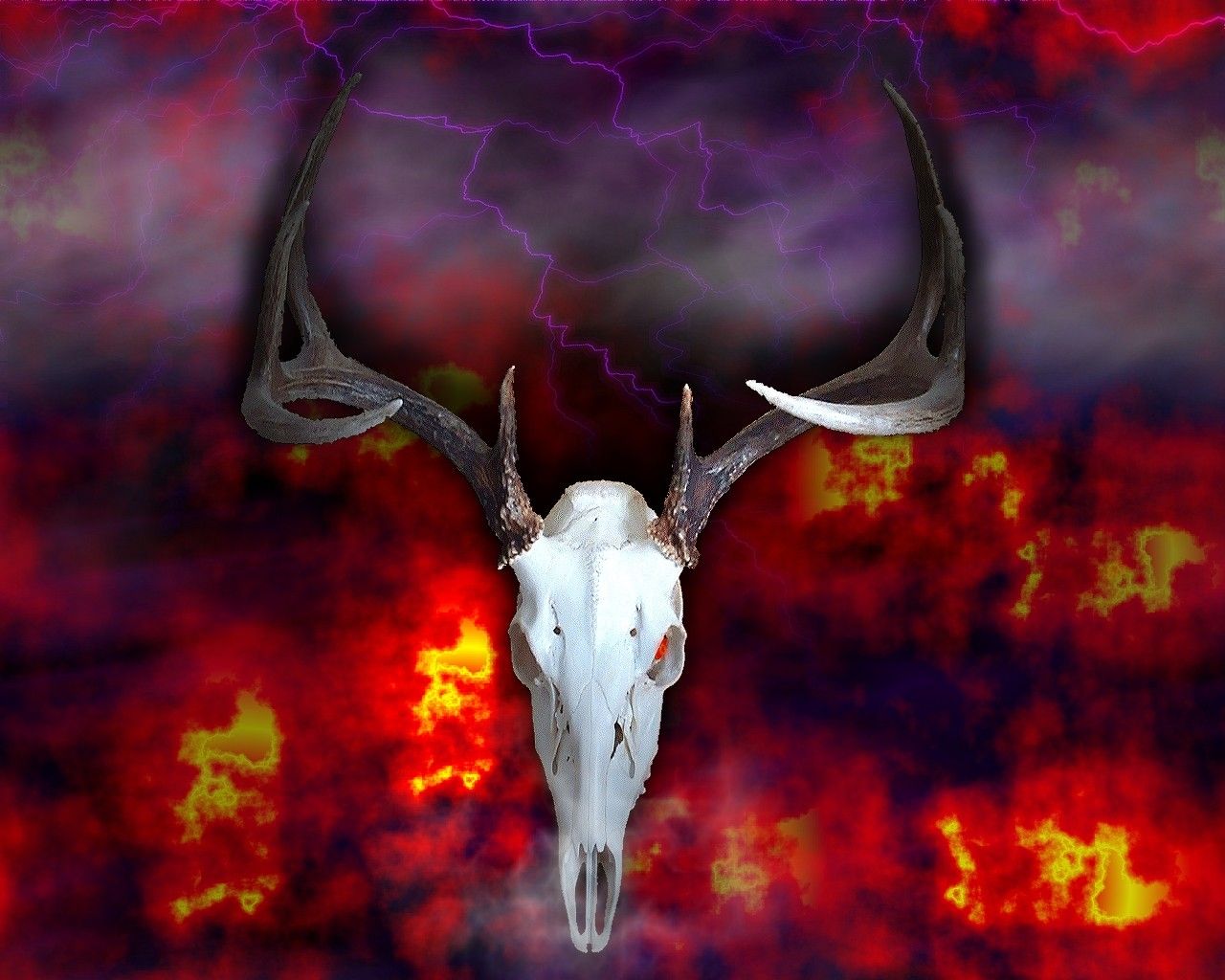 Deer Skull Wallpapers - Wallpaper Cave