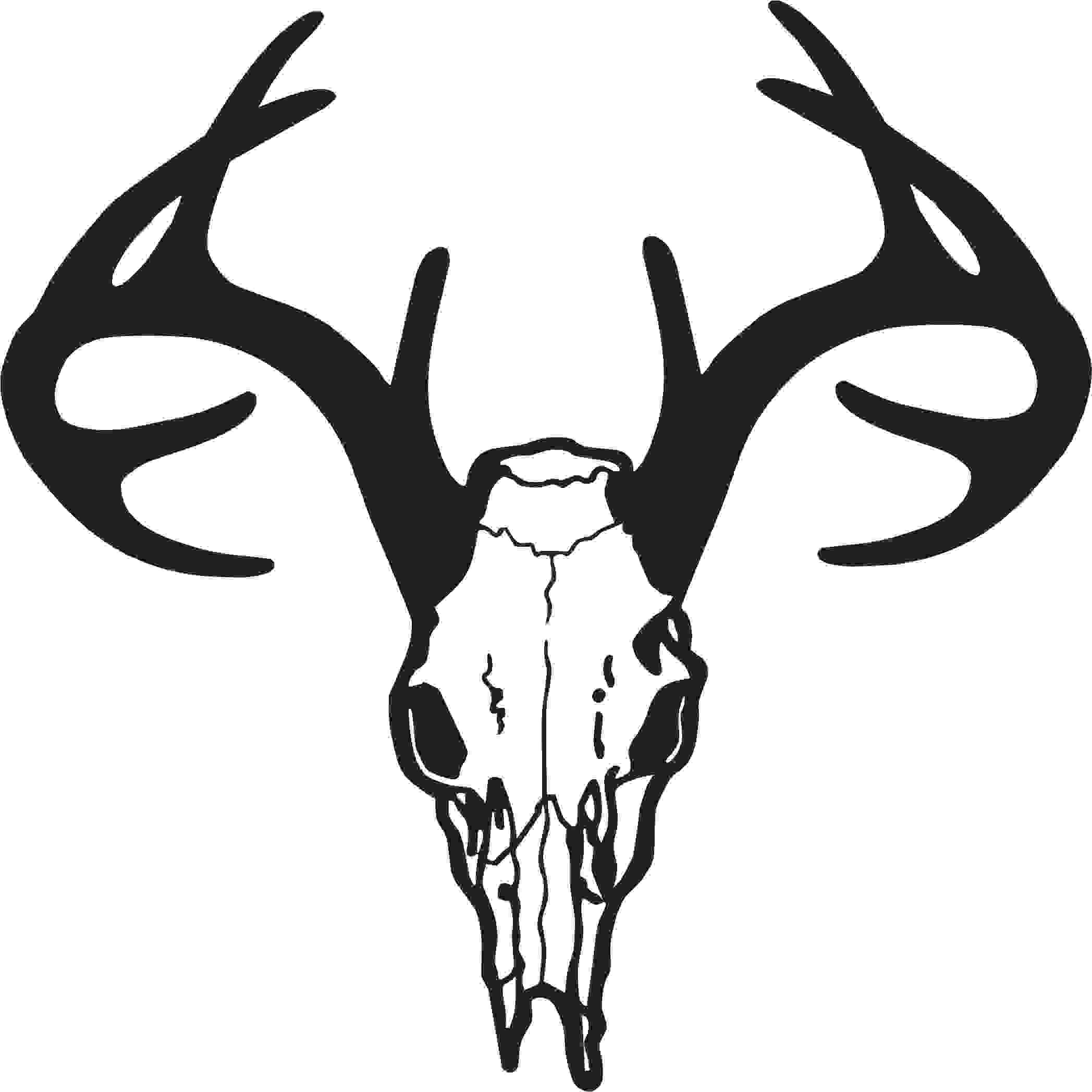 Deer Skull Drawing Free Clipart Image Skull Vector Png