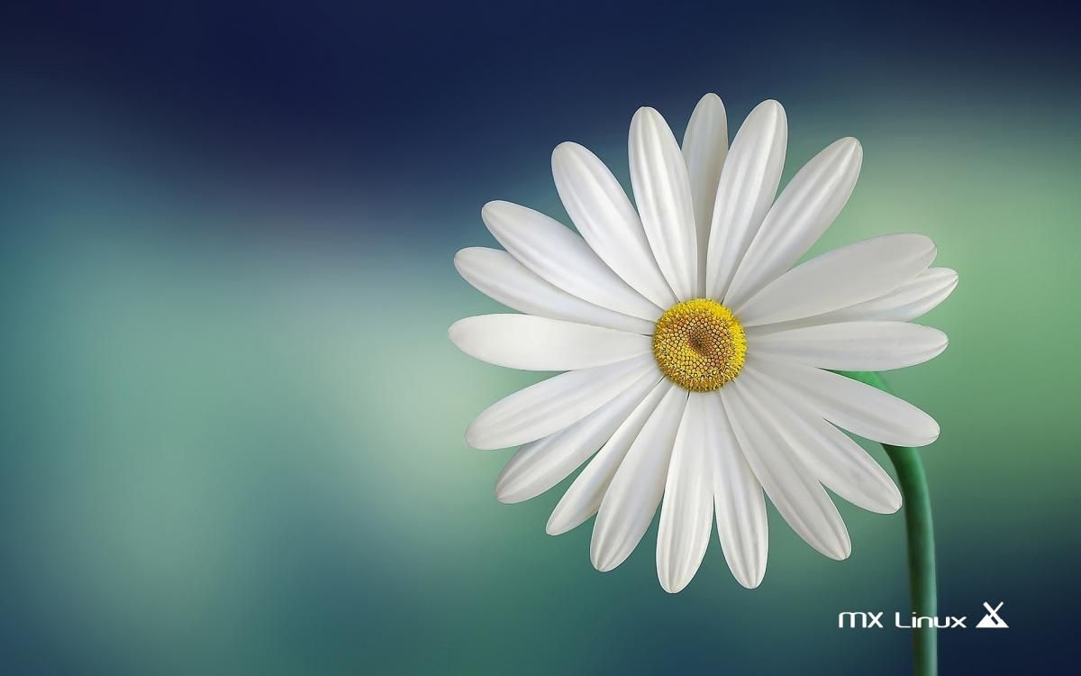 Mx Linux Wallpapers Wallpaper Cave