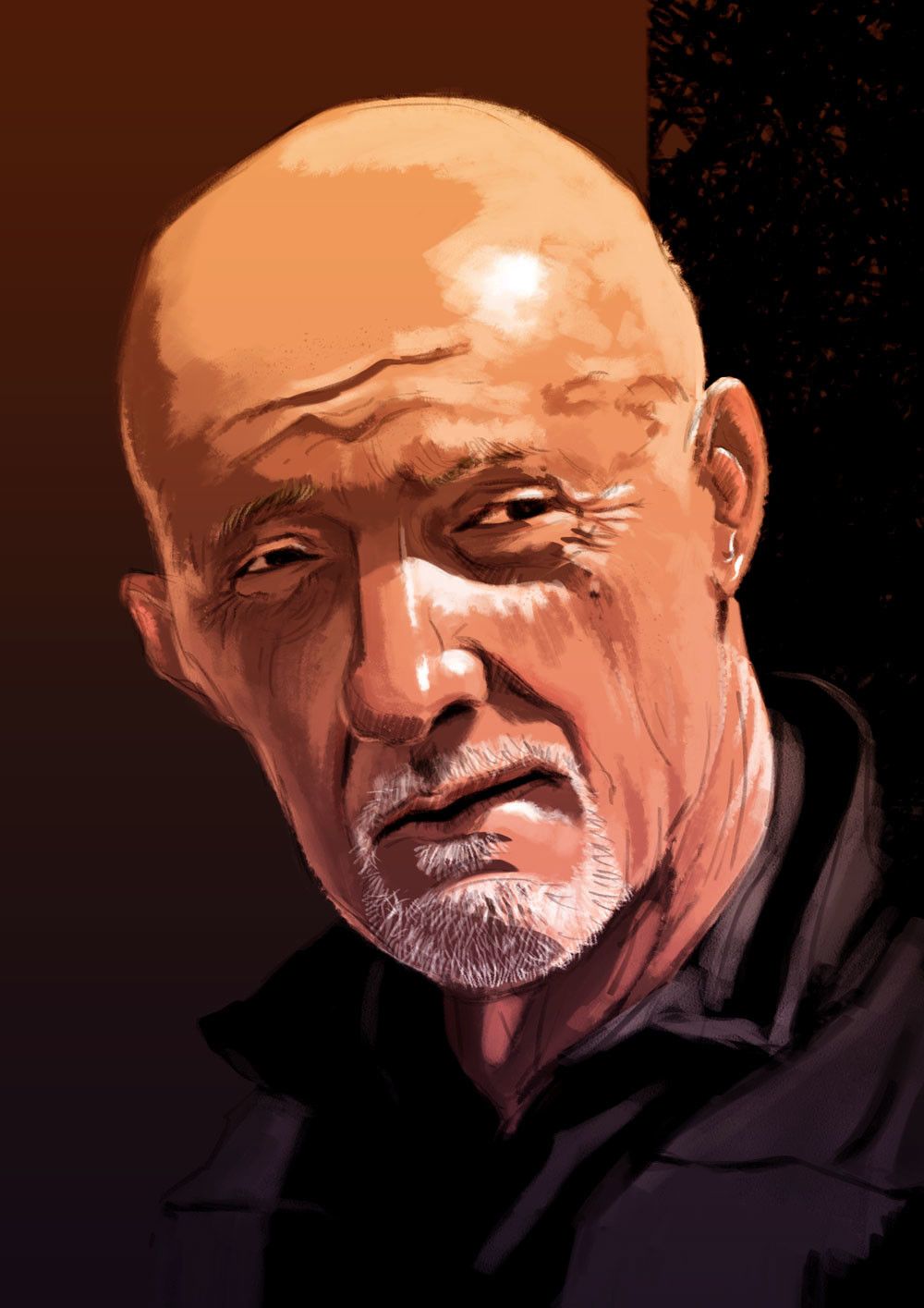 Mike Ehrmantraut, Ravi Shankar
