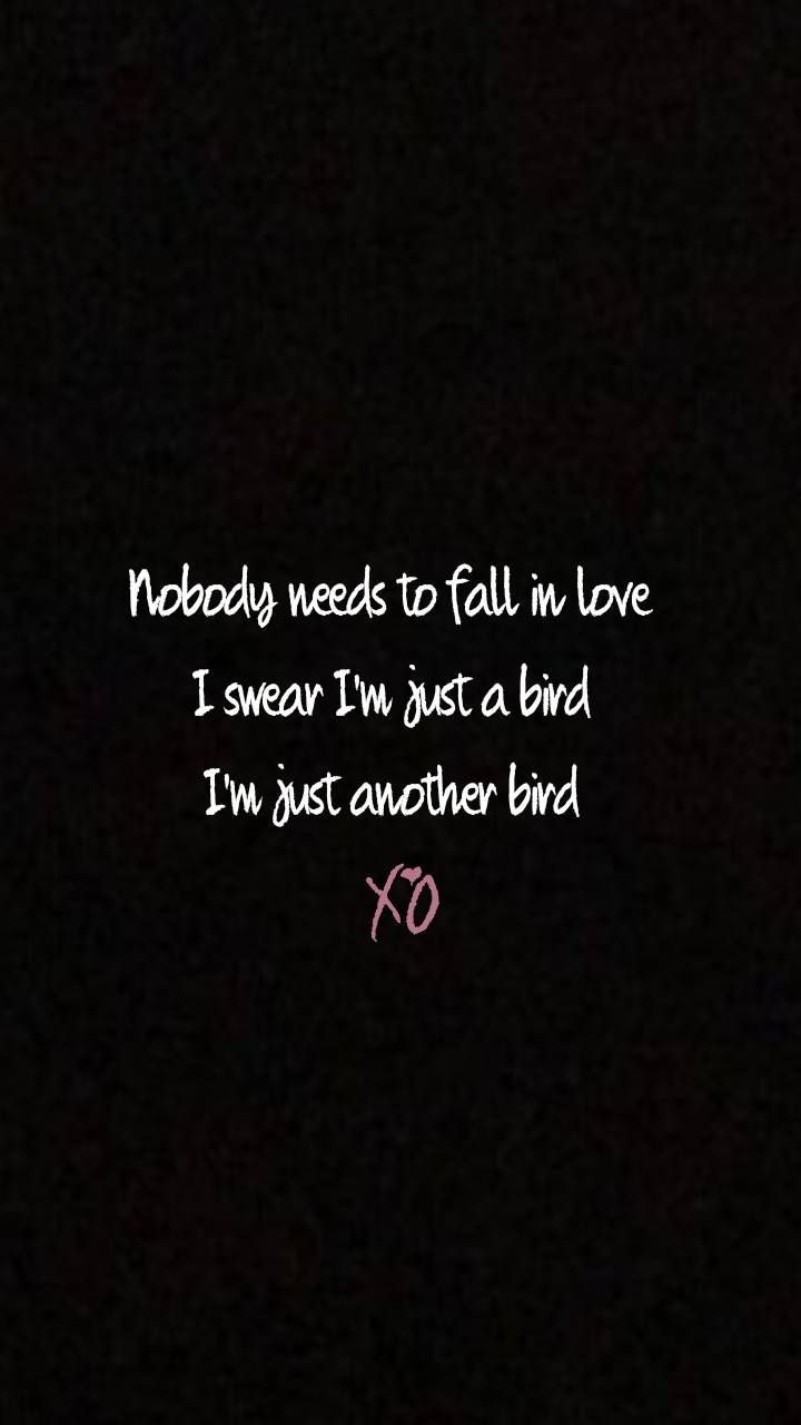 Text Lyrics Wallpaper