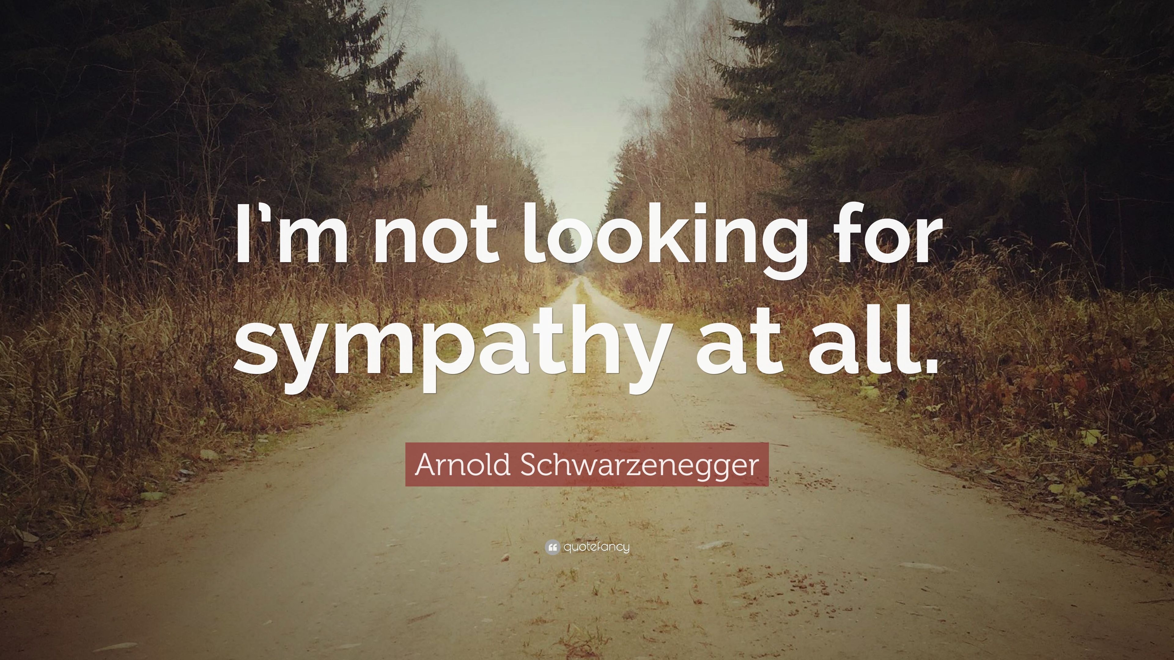 Arnold Schwarzenegger Quote: “I'm not looking for sympathy at all.” (12 wallpaper)