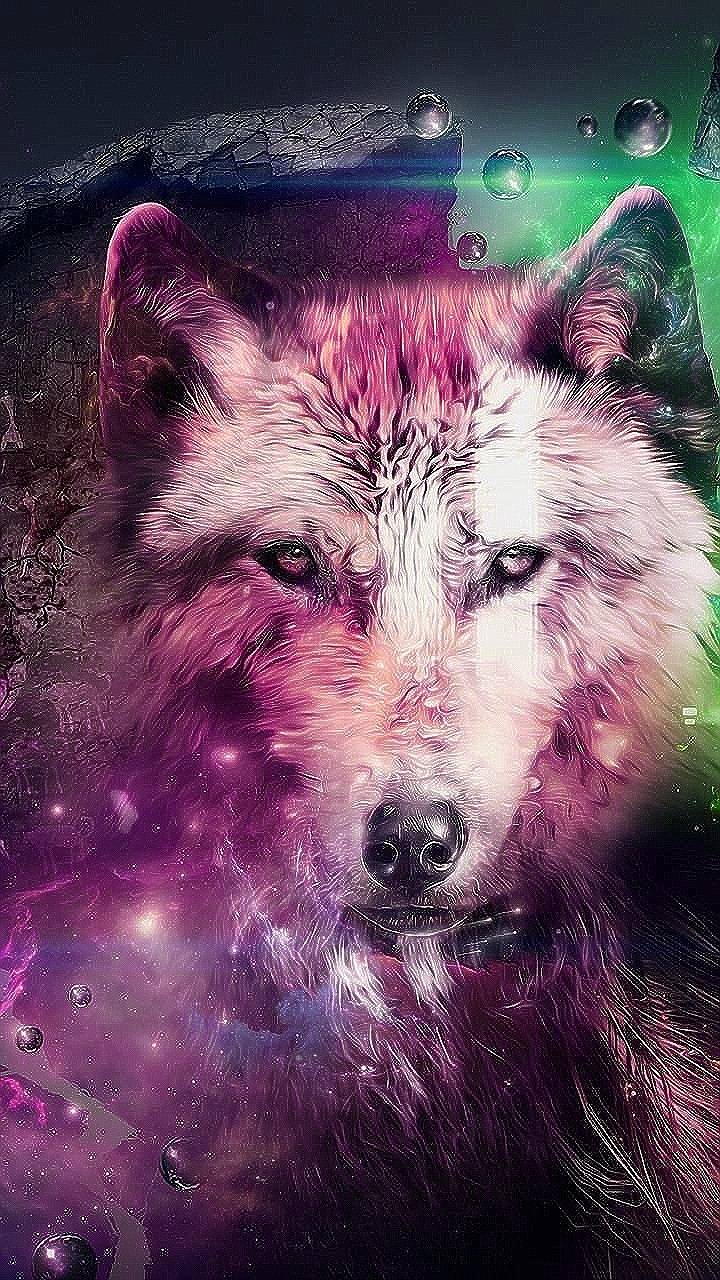 Animal Space Wolf Wallpaper HD New