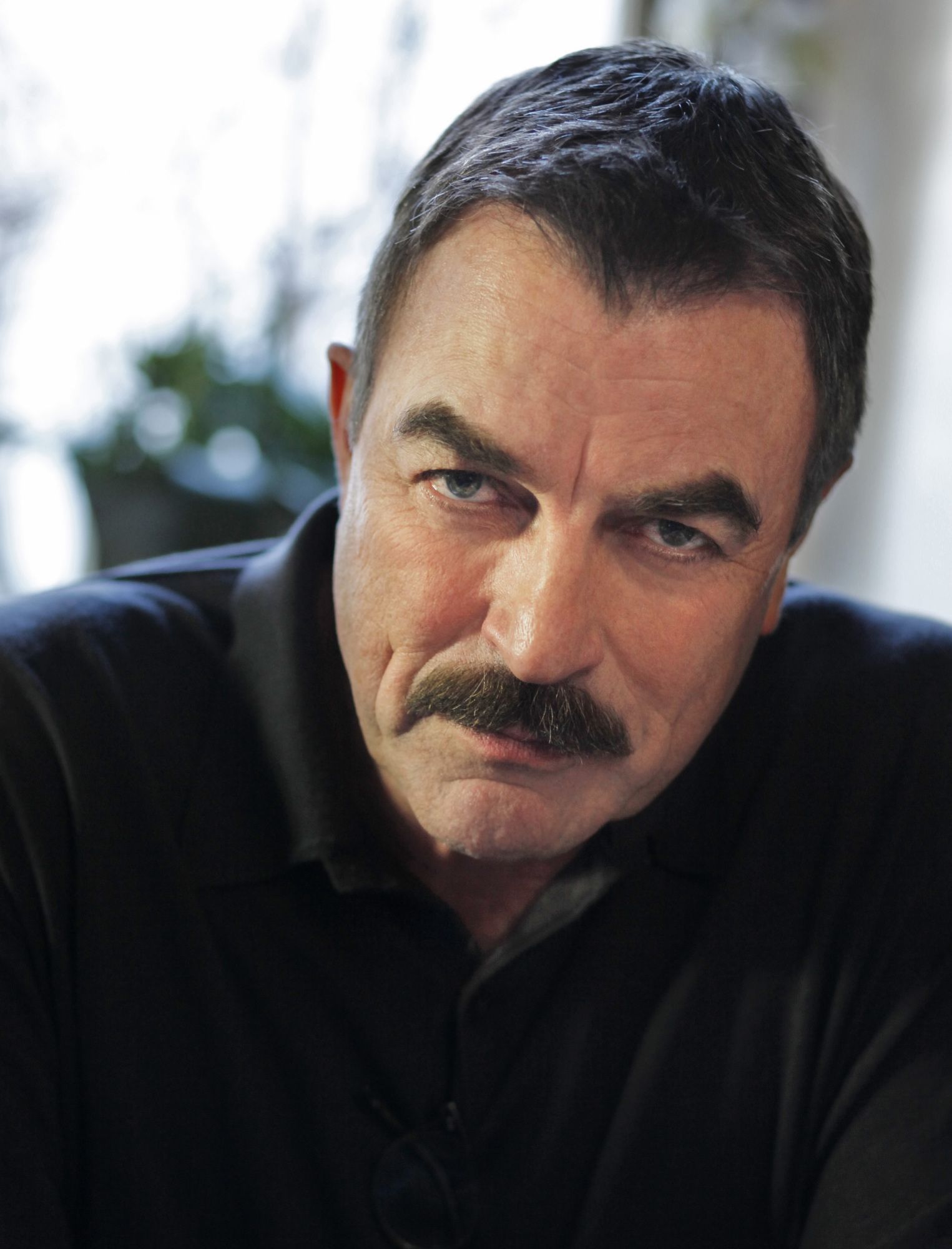 Things You May Not Know About the Blue Bloods Cast Bloods Photo