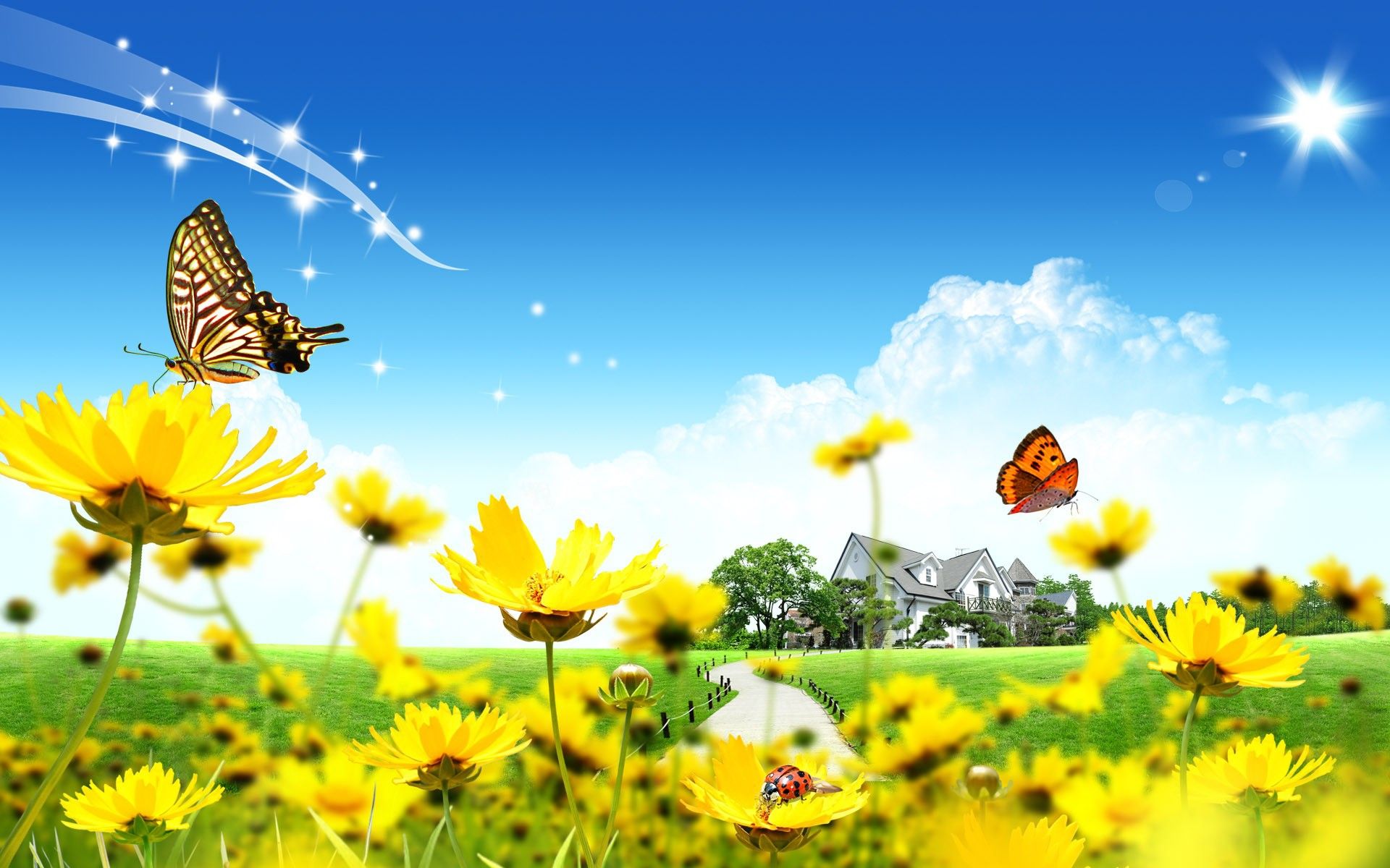 Download Wallpaper, Download nature flowers butterfly digital summer photomanipulation 1920x1200 wallpaper Wallpaper –Free Wallpaper Download