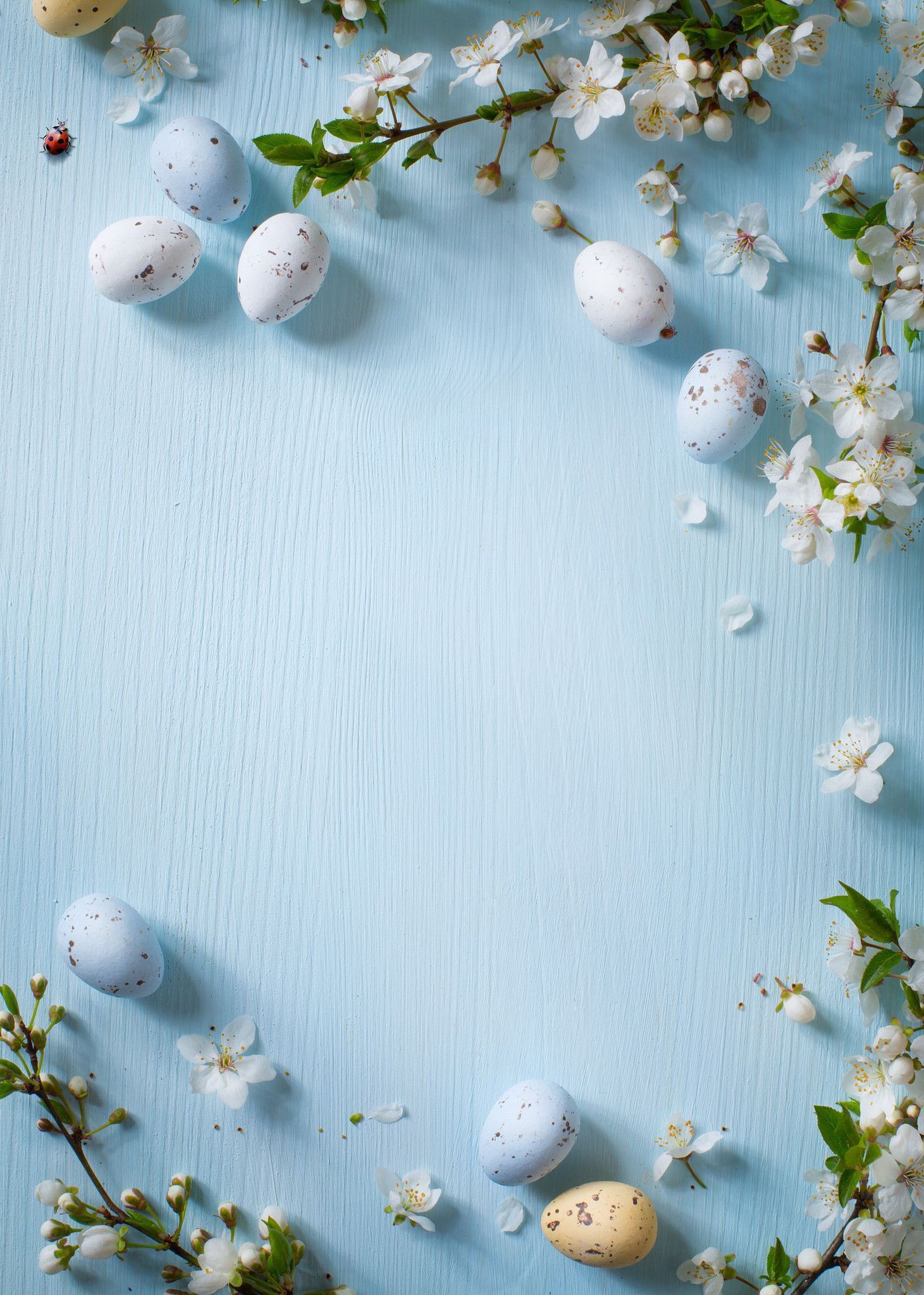 Kate Easter Blue Wall Colorful Eggs Photography Backdrops. Easter backdrops, Easter wallpaper, Easter photography