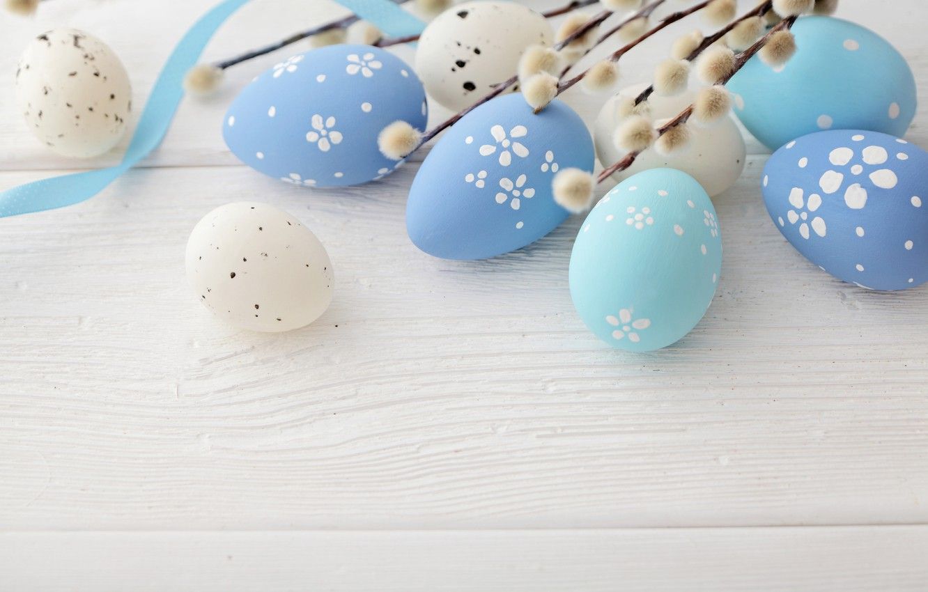 Wallpaper Easter, Verba, blue, spring, eggs, Happy Easter, Easter eggs image for desktop, section праздники