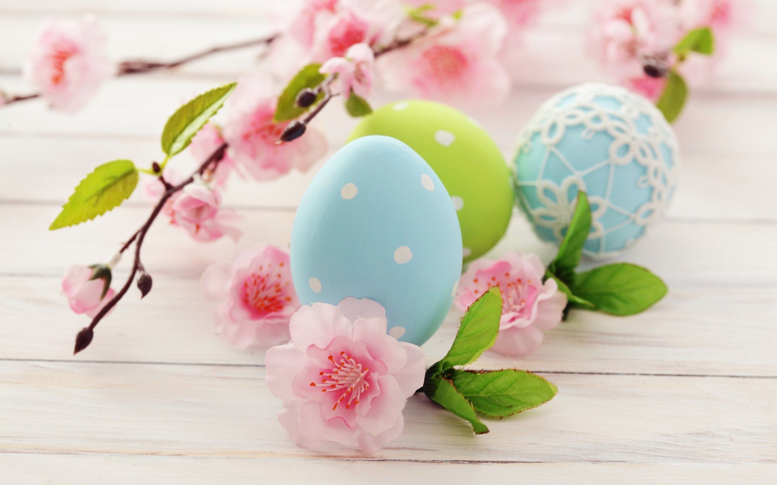 Blue color eggs Easter Holiday and blossom trees