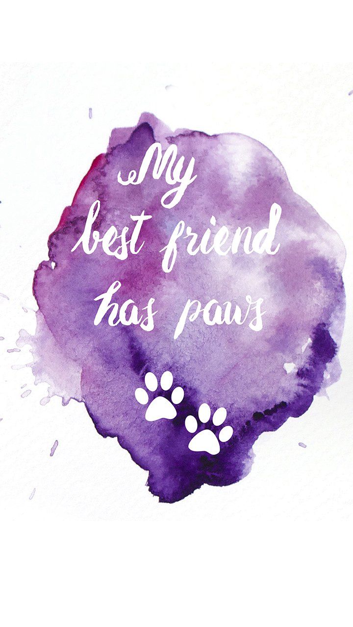 Free download best friend has paws phone wallpaper by choosing your best resolution [720x1280] for your Desktop, Mobile & Tablet. Explore Best Friend Wallpaper for Phones. Best Friends Wallpaper