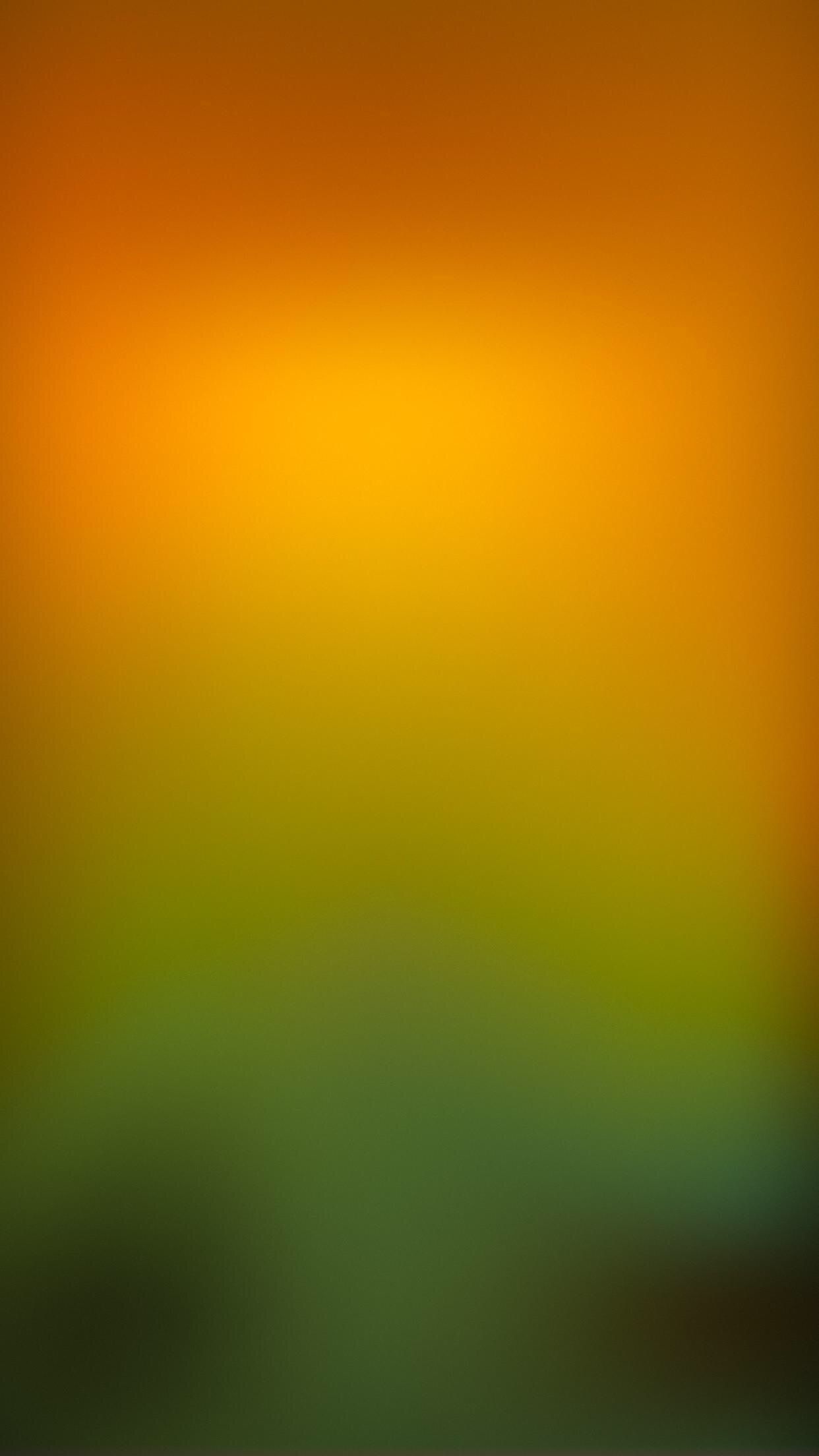 Green, Yellow, Orange, Sky, Calm, Macro photography. iPhone wallpaper green, Phone wallpaper design, Nature iphone wallpaper