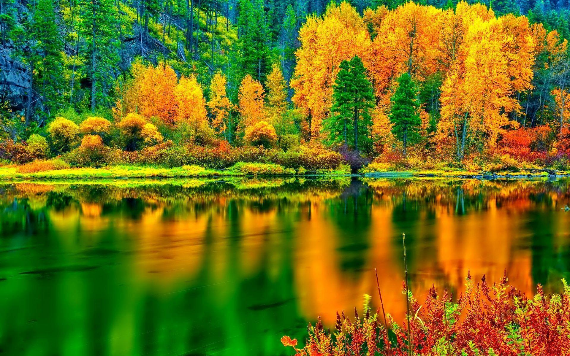 Hd Breathtaking Autumn Colors Wallpaper And Green In Nature