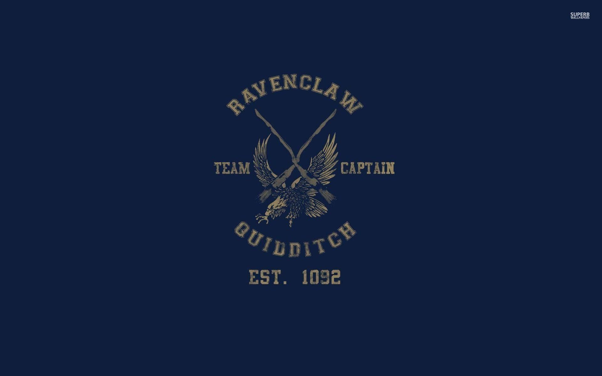 Ravenclaw Quidditch Wallpaper Free Ravenclaw Quidditch Background
