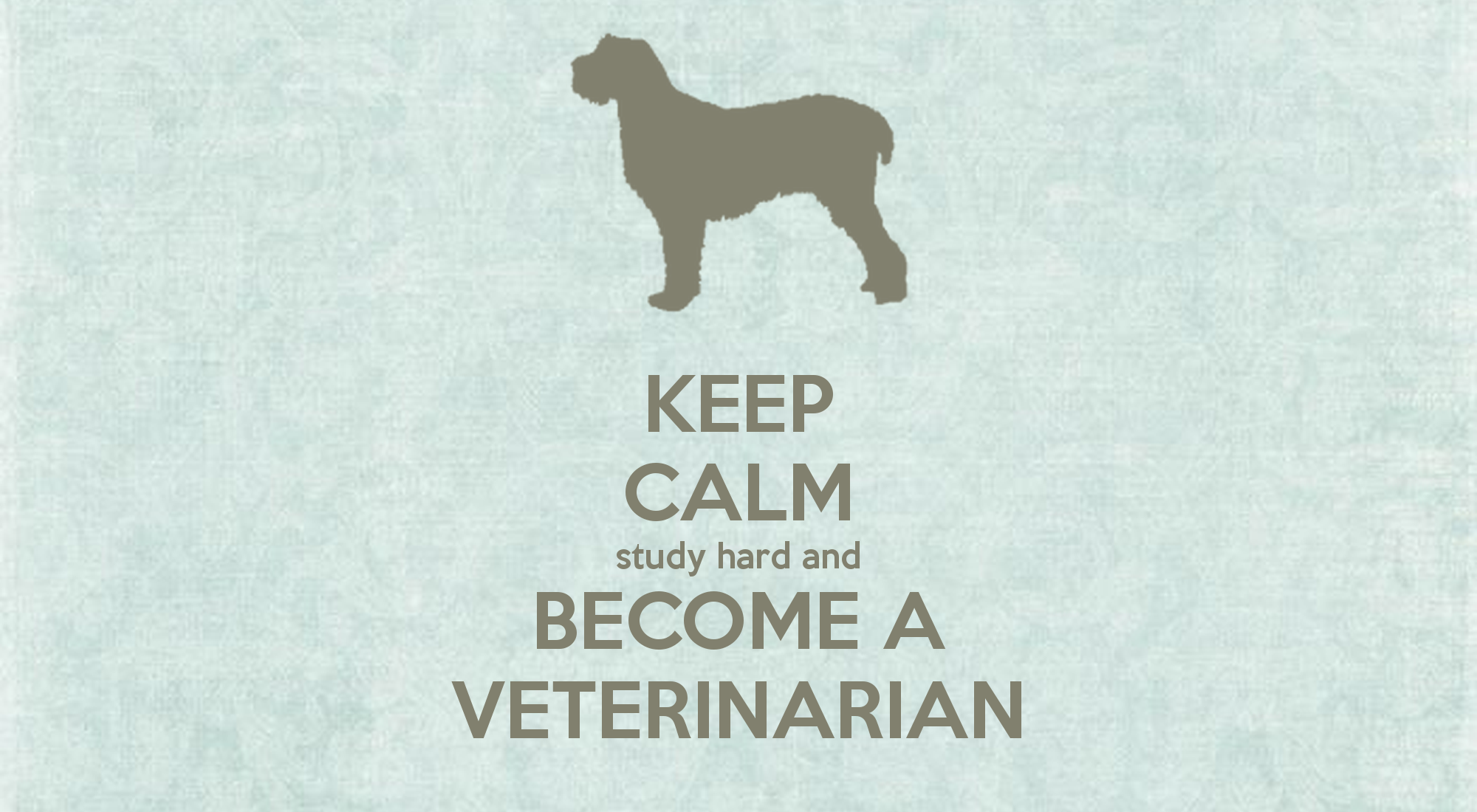 Veterinarian Wallpapers Wallpaper Cave