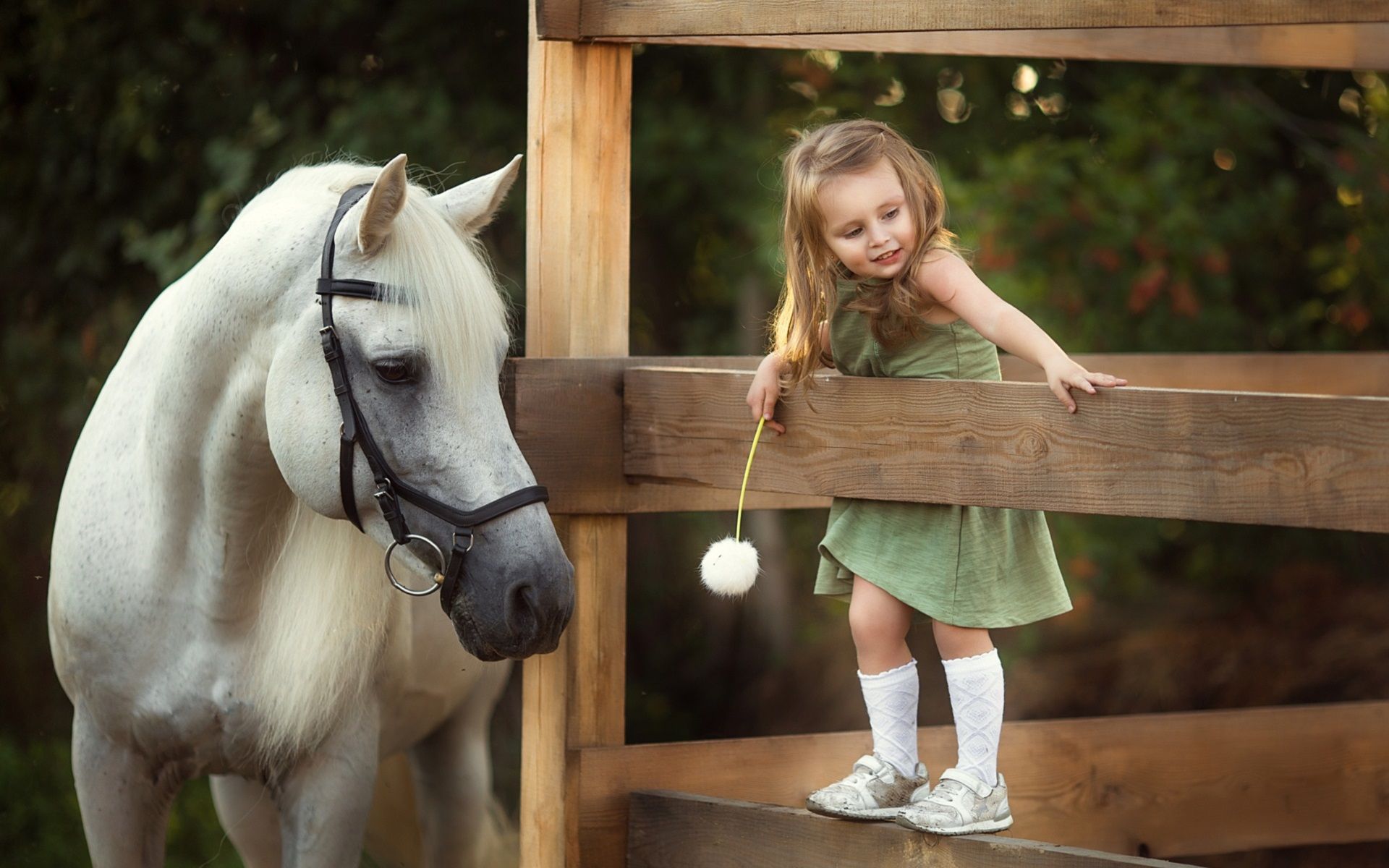 Wallpaper Happy little girl and white horse, fence 1920x1200 HD Picture, Image