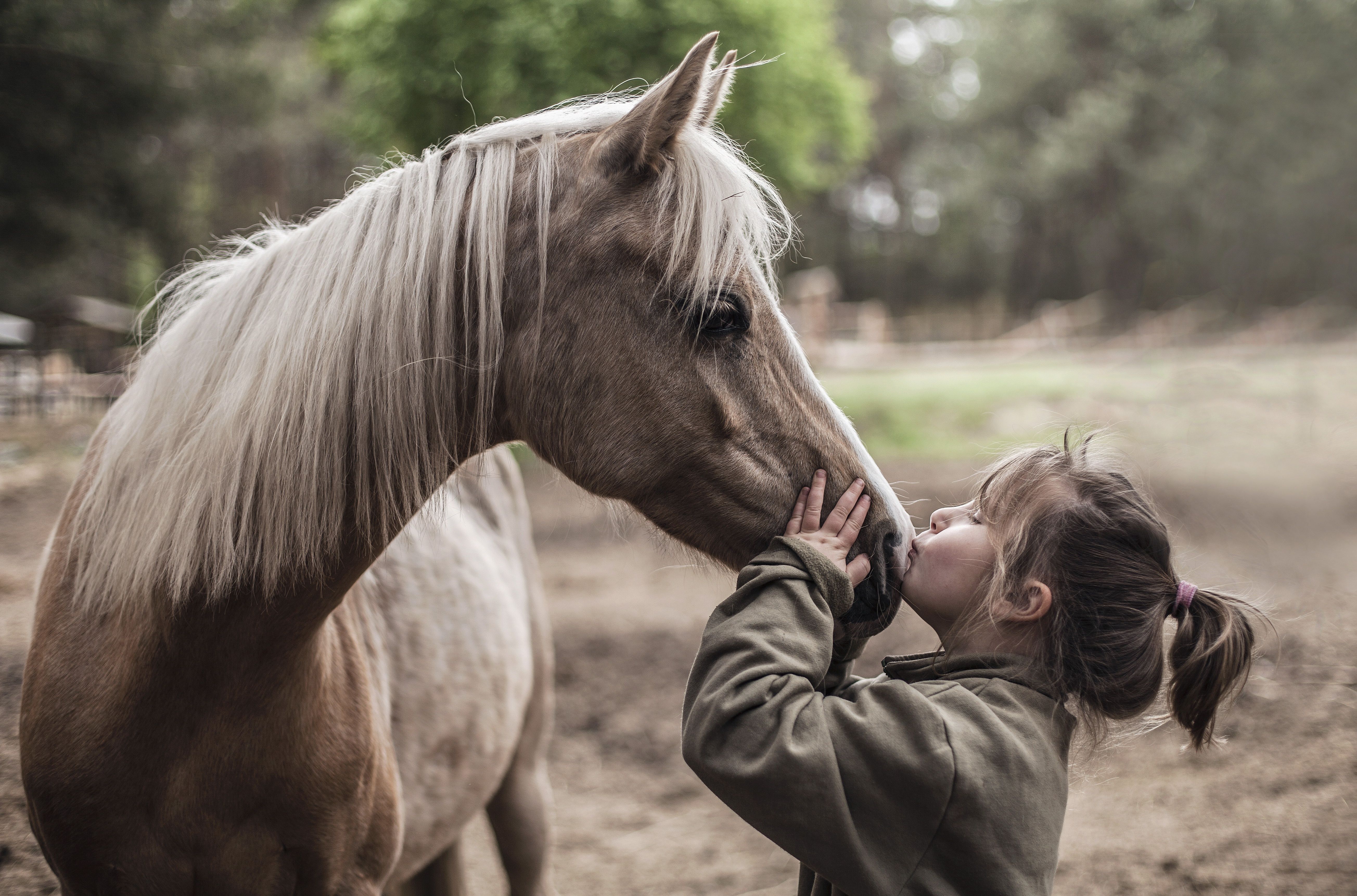 Photo Little girls horse kisses Children Animals 5216x3448