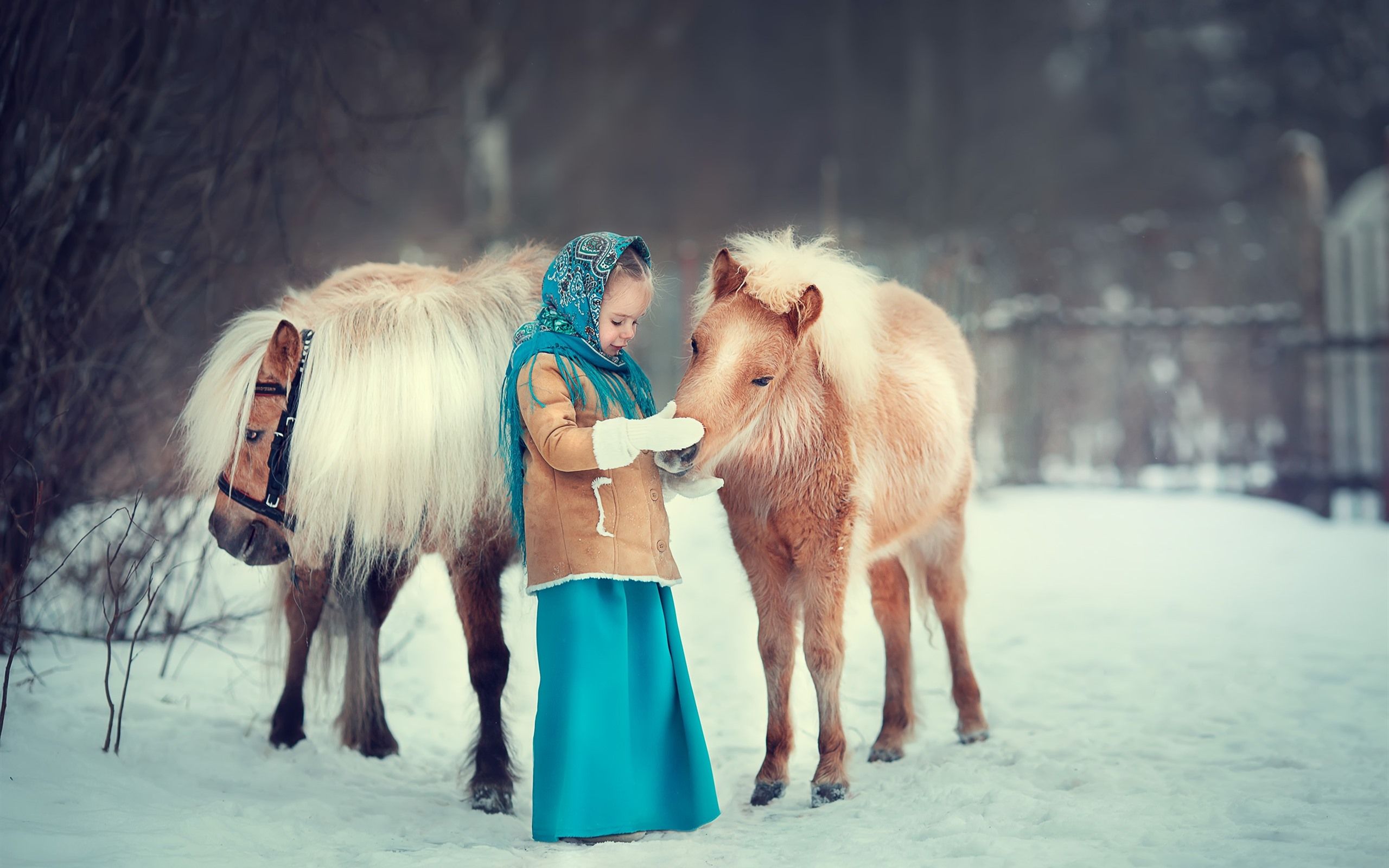 Wallpaper Cute little girl and pony 2560x1600 HD Picture, Image