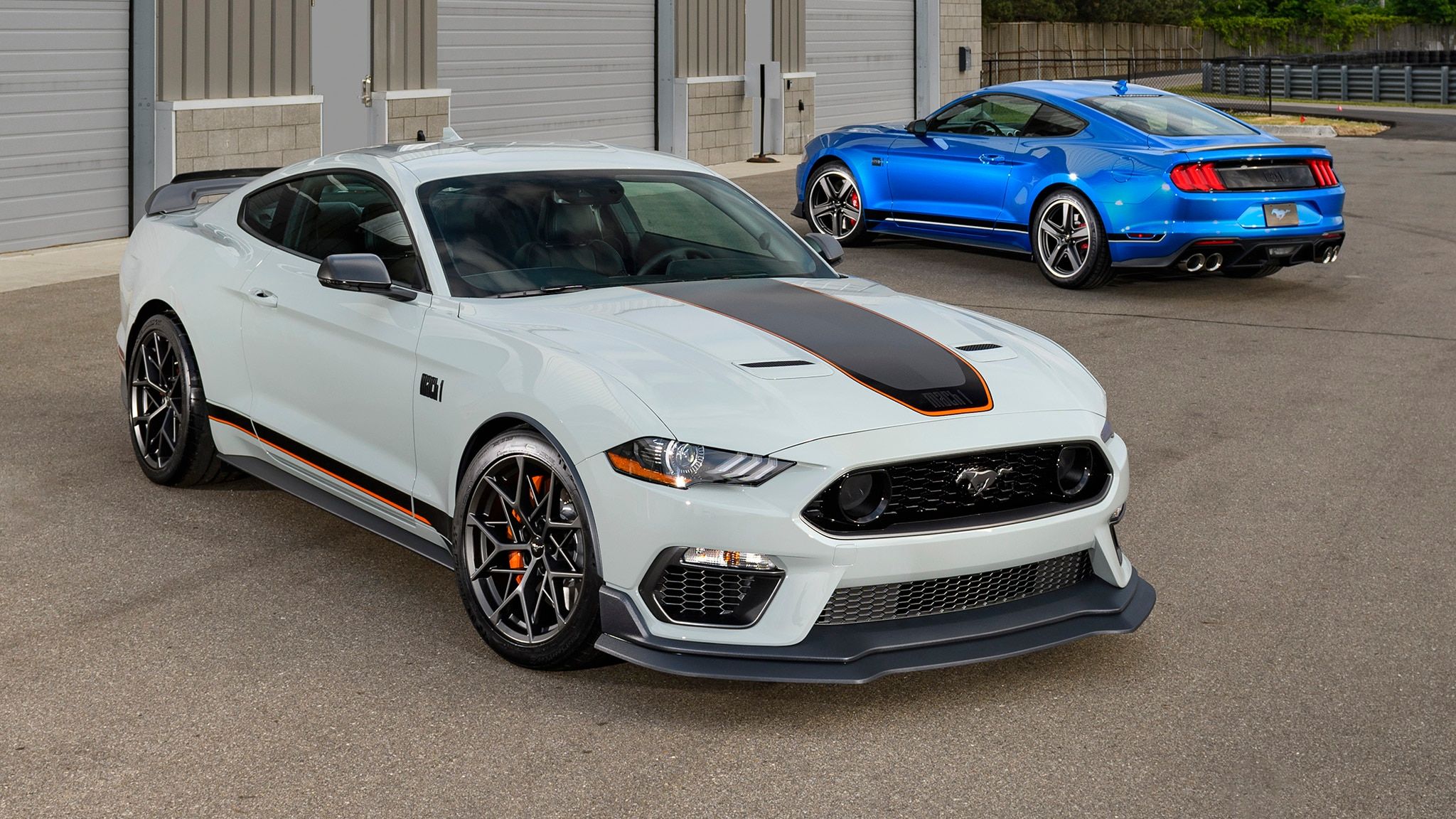 Ford Mustang Mach 1 Struts Its Stuff In Photo