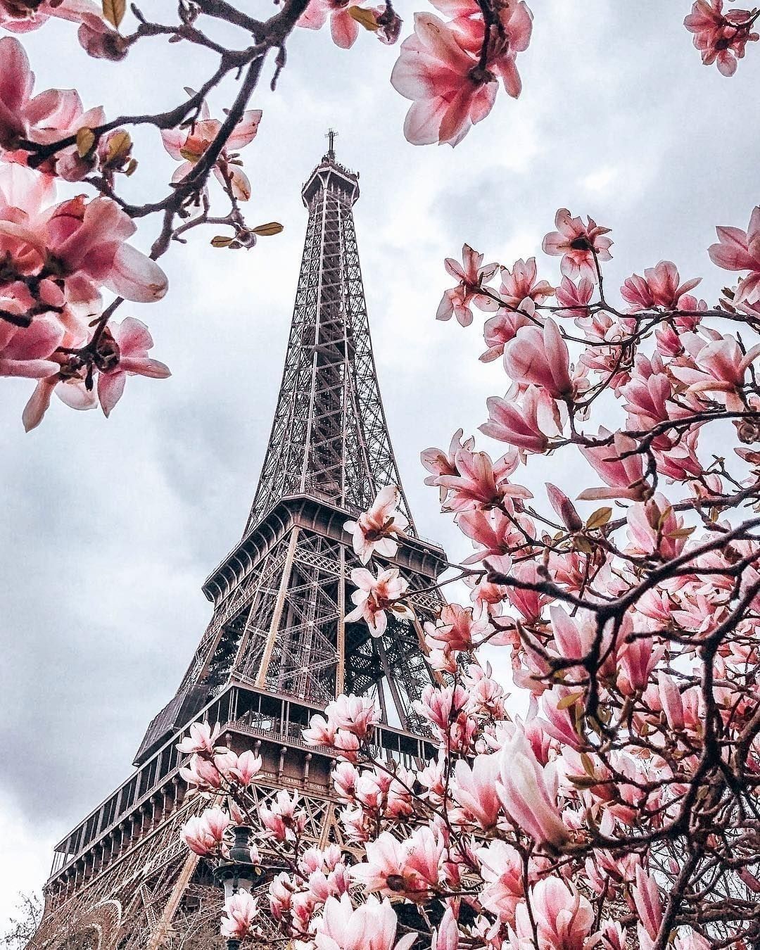 Paris, France. Paris in spring, Beautiful paris, Paris wallpaper