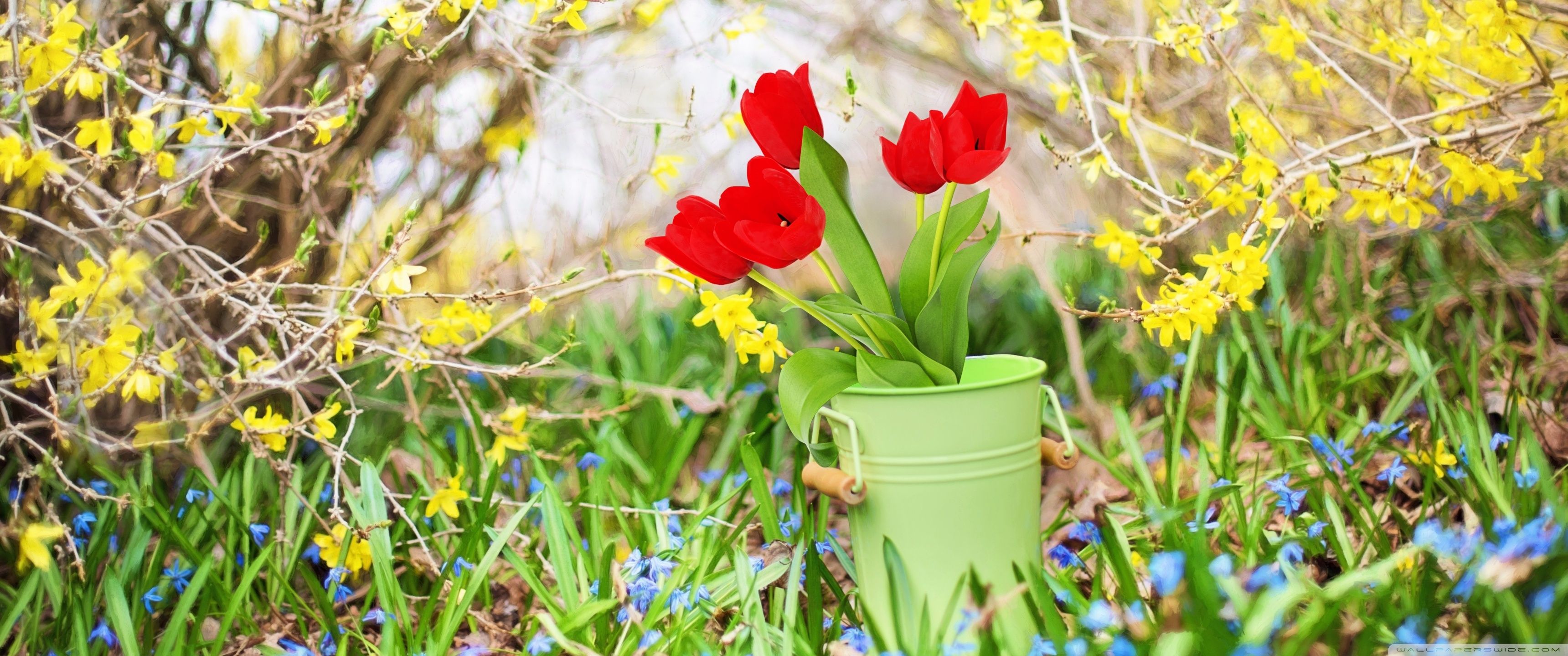 Spring 3440x1440 Wallpapers - Wallpaper Cave