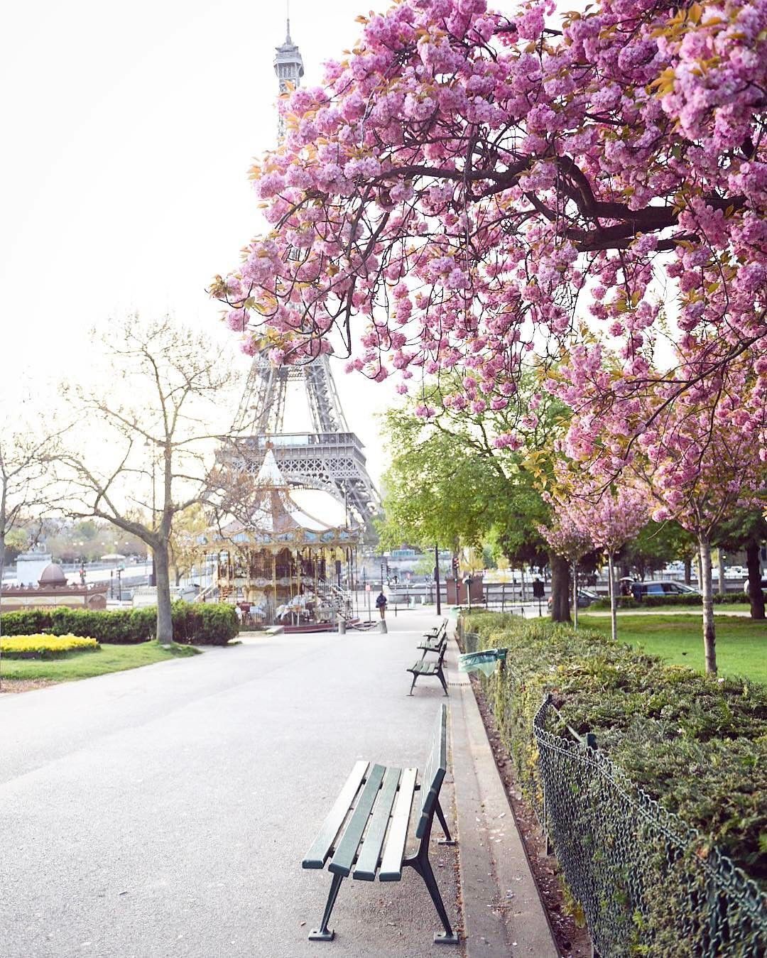 Paris Spring Wallpaper