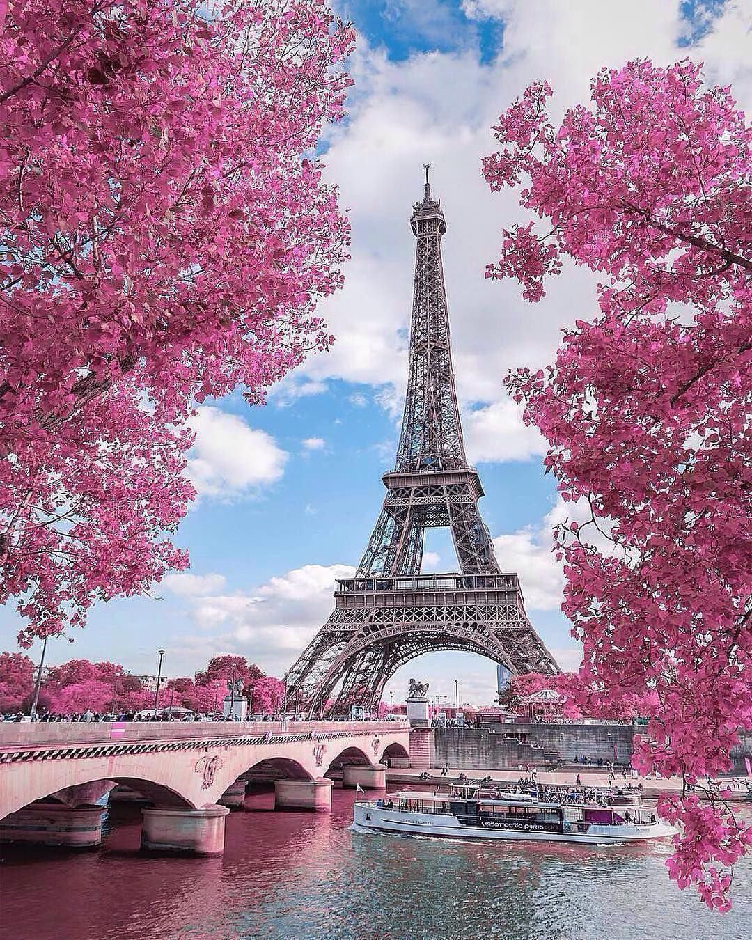 Pink view at Eiffel Tower